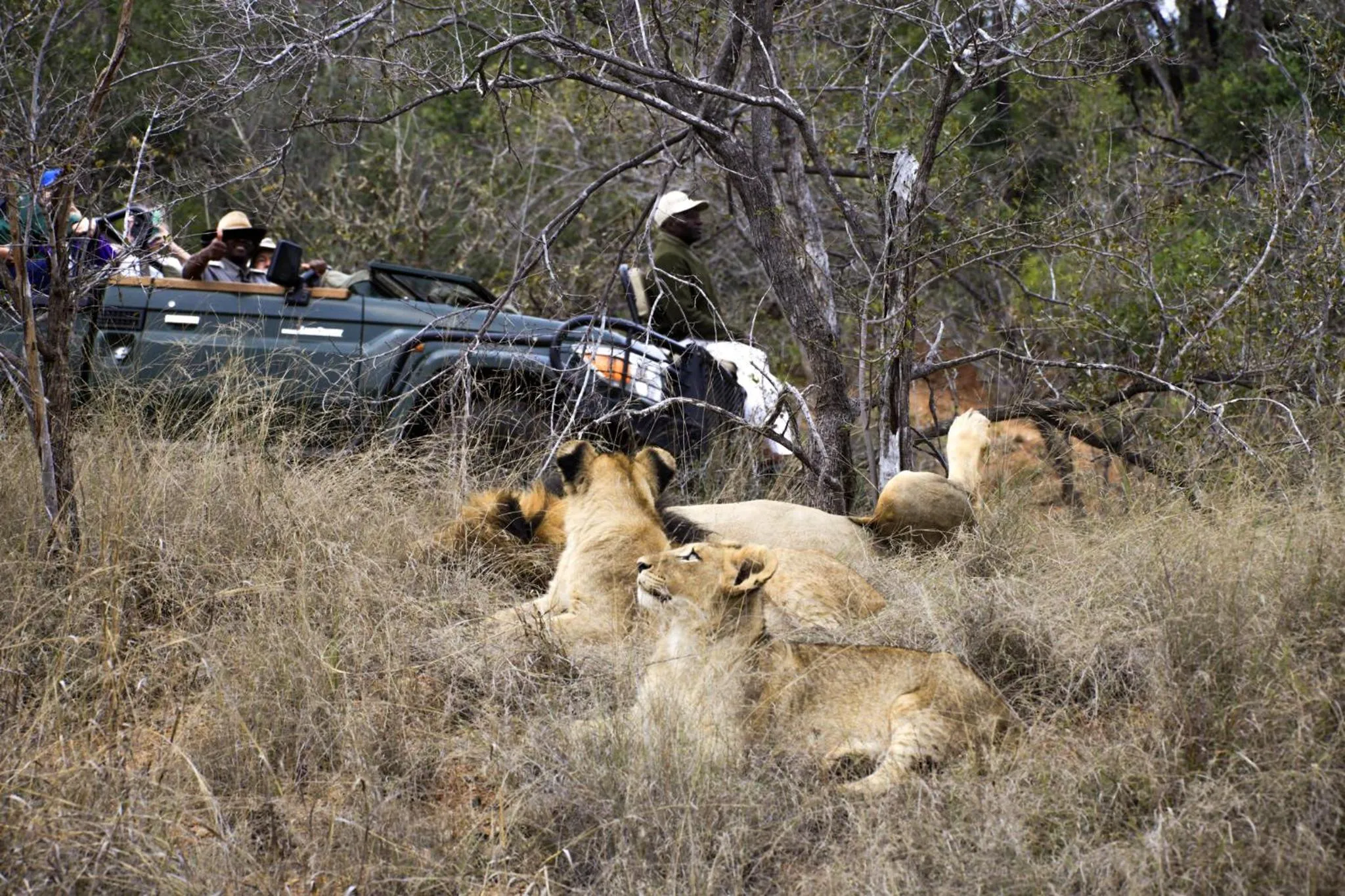 Property building in Karongwe- Shiduli Safari Lodge