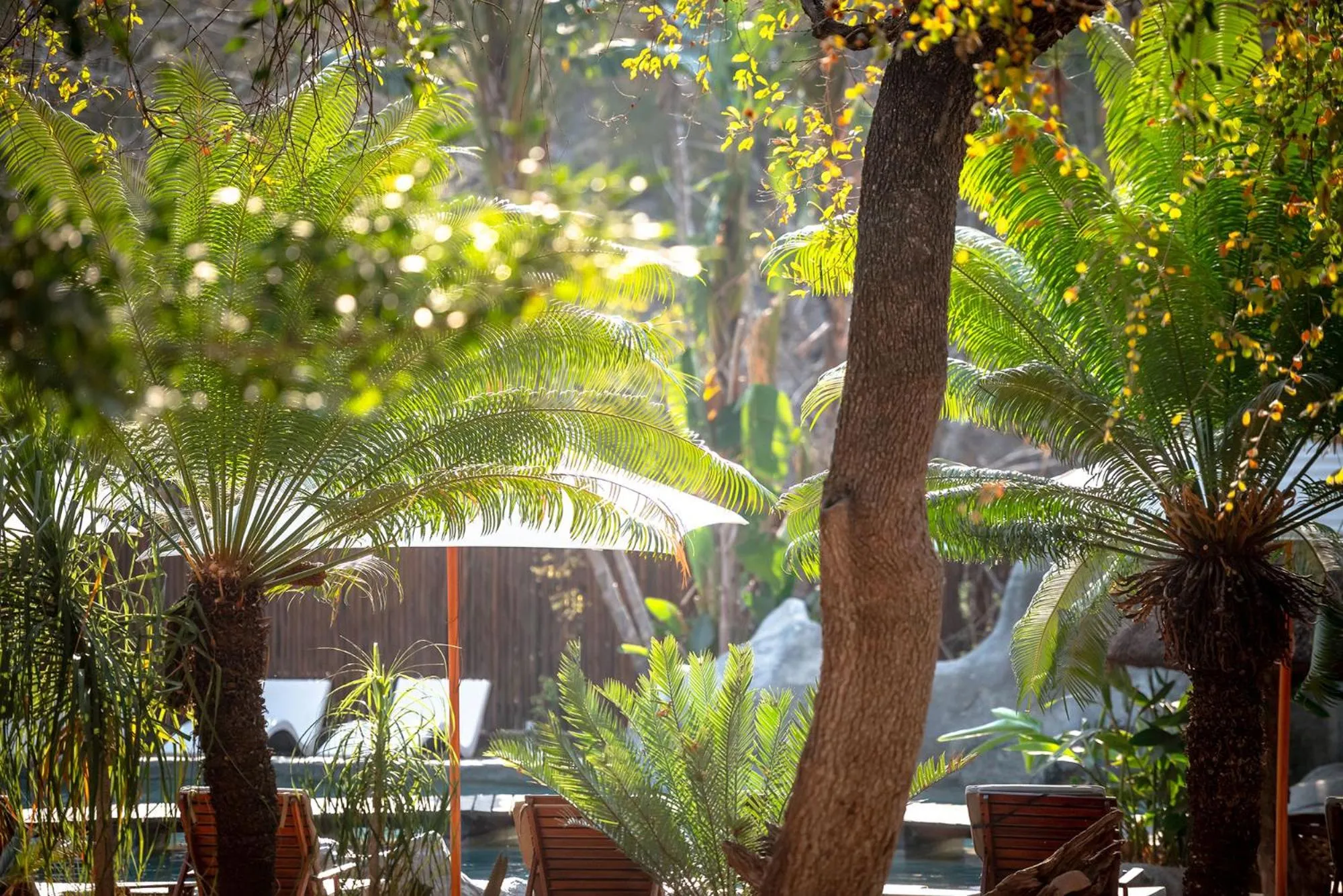 Swimming pool in Karongwe- Shiduli Safari Lodge