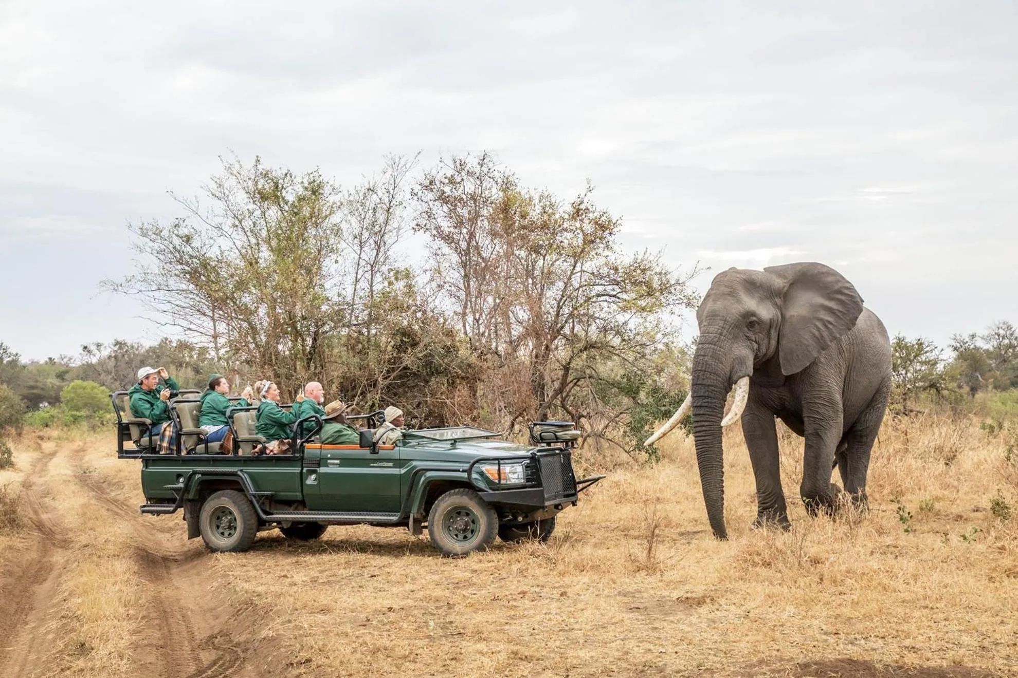 Animals in Karongwe - Chisomo Safari Camp