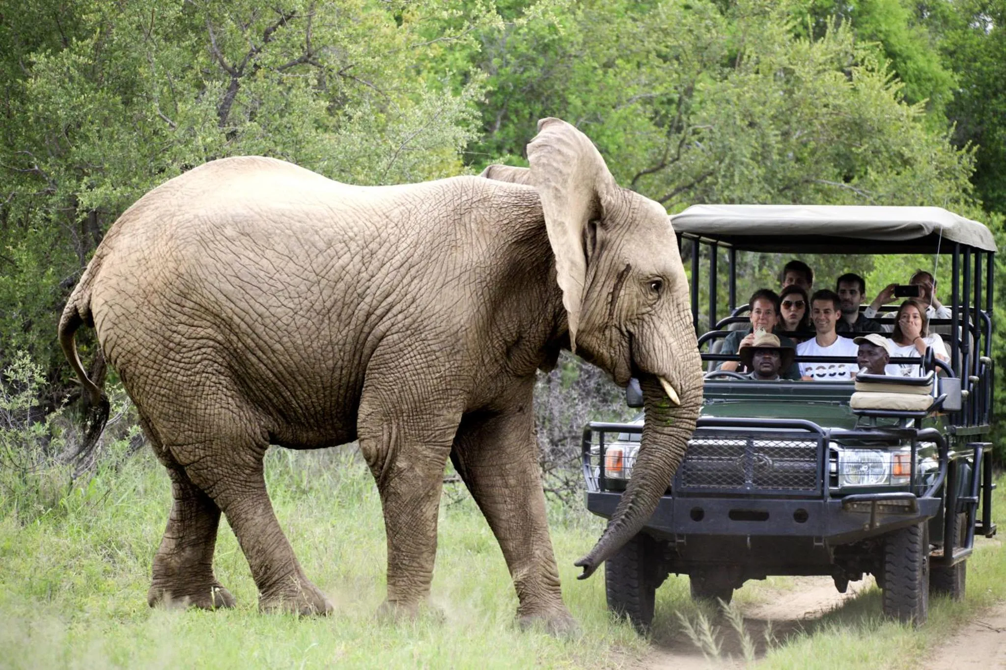 Day in Karongwe - Chisomo Safari Camp