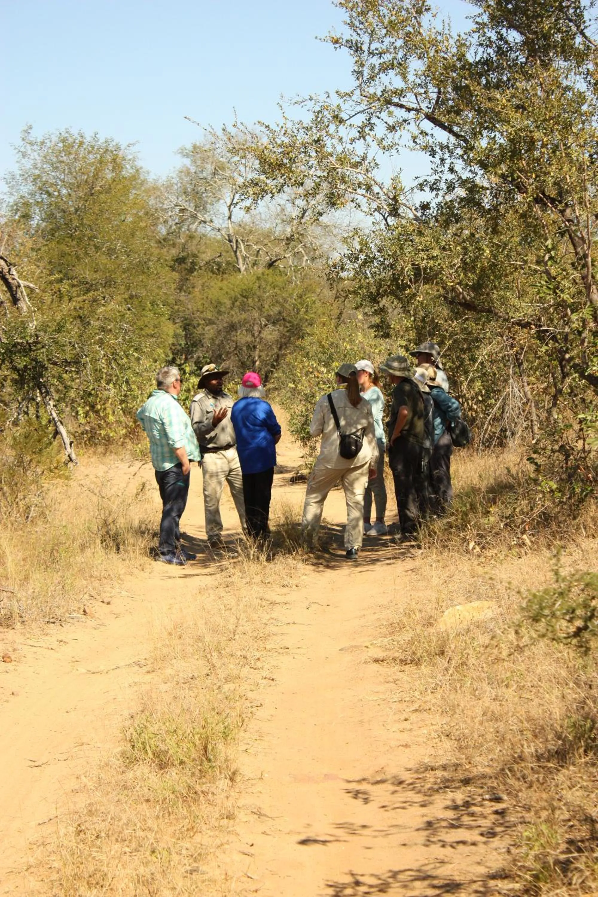 Activities in Karongwe - Chisomo Safari Camp