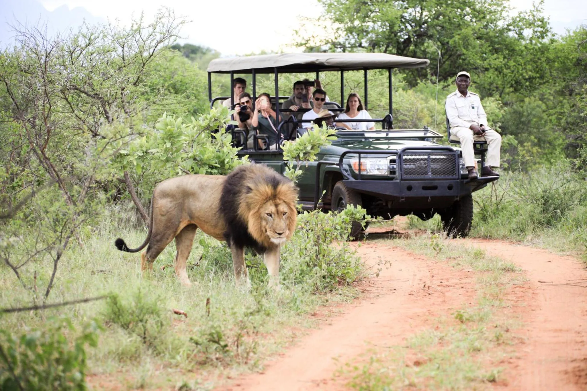 Natural landscape in Karongwe - Chisomo Safari Camp