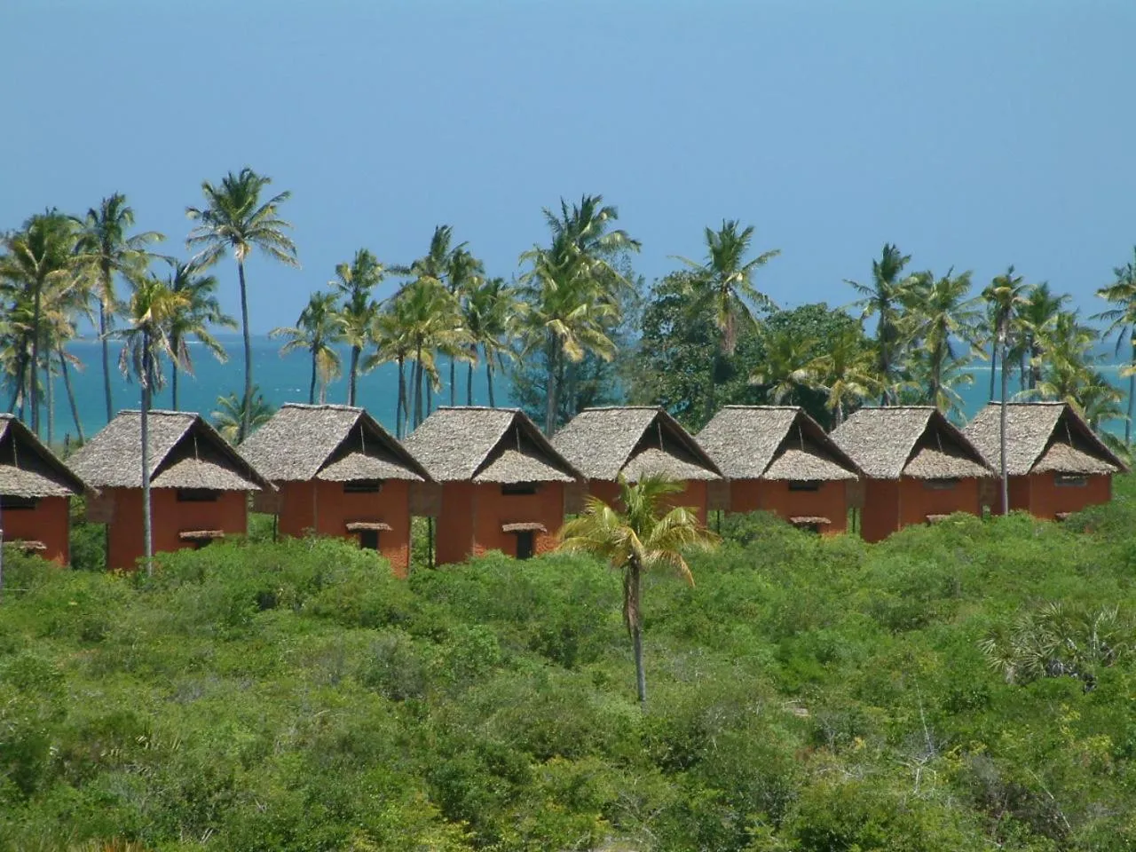 Garden in Kipepeo Beach and Village