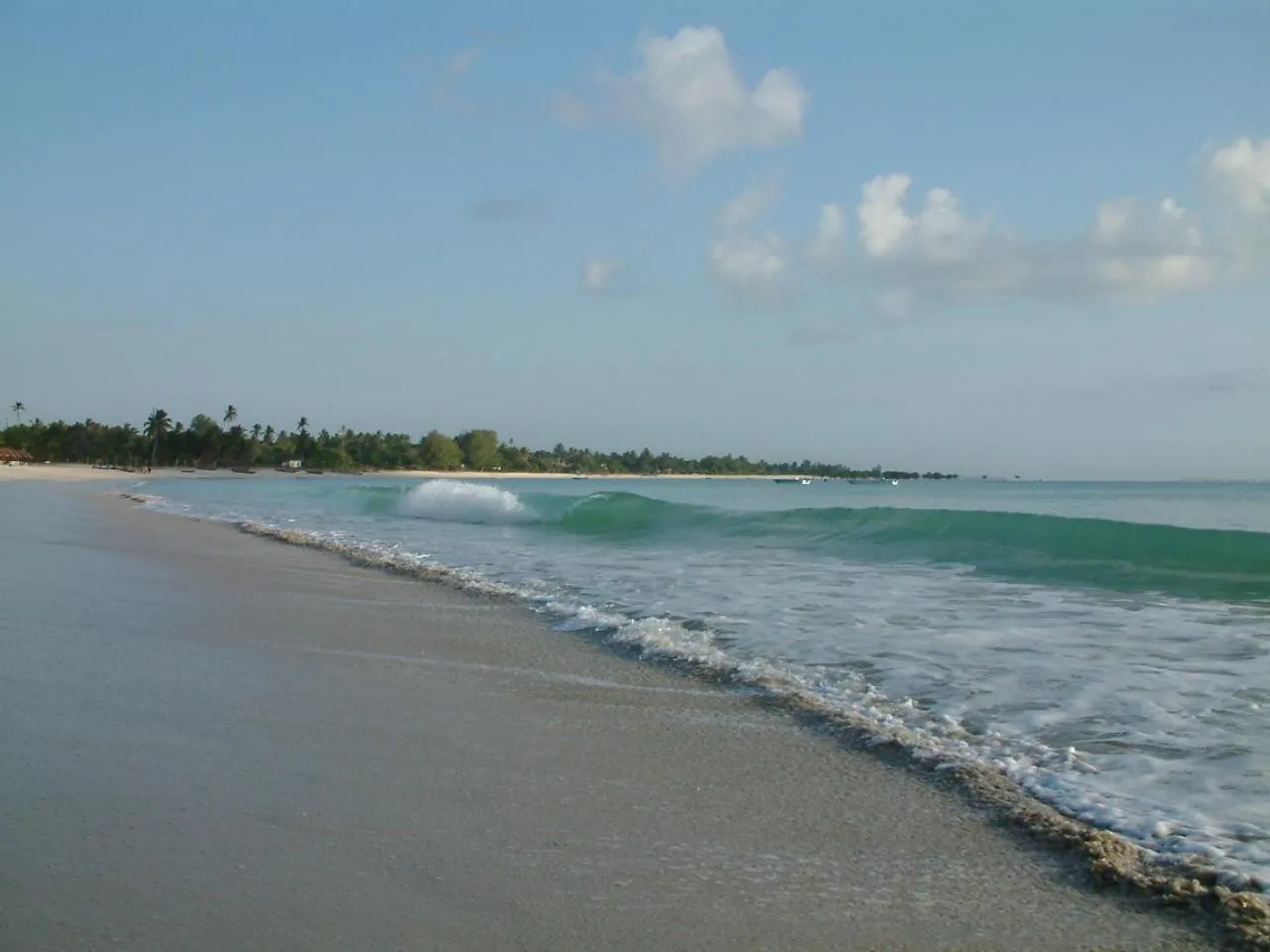 Beach in Kipepeo Beach and Village
