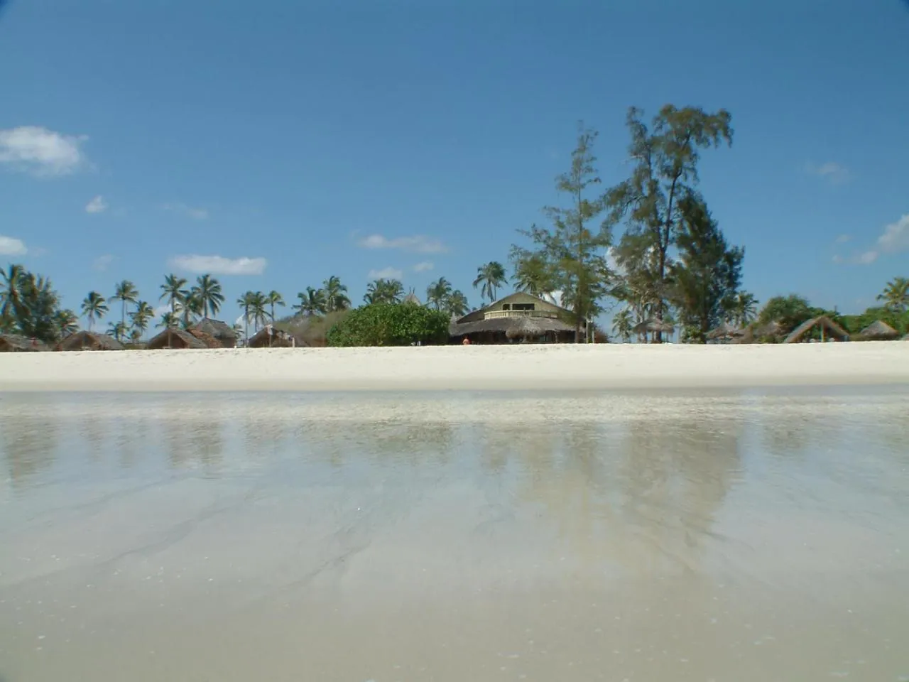 Beach in Kipepeo Beach and Village