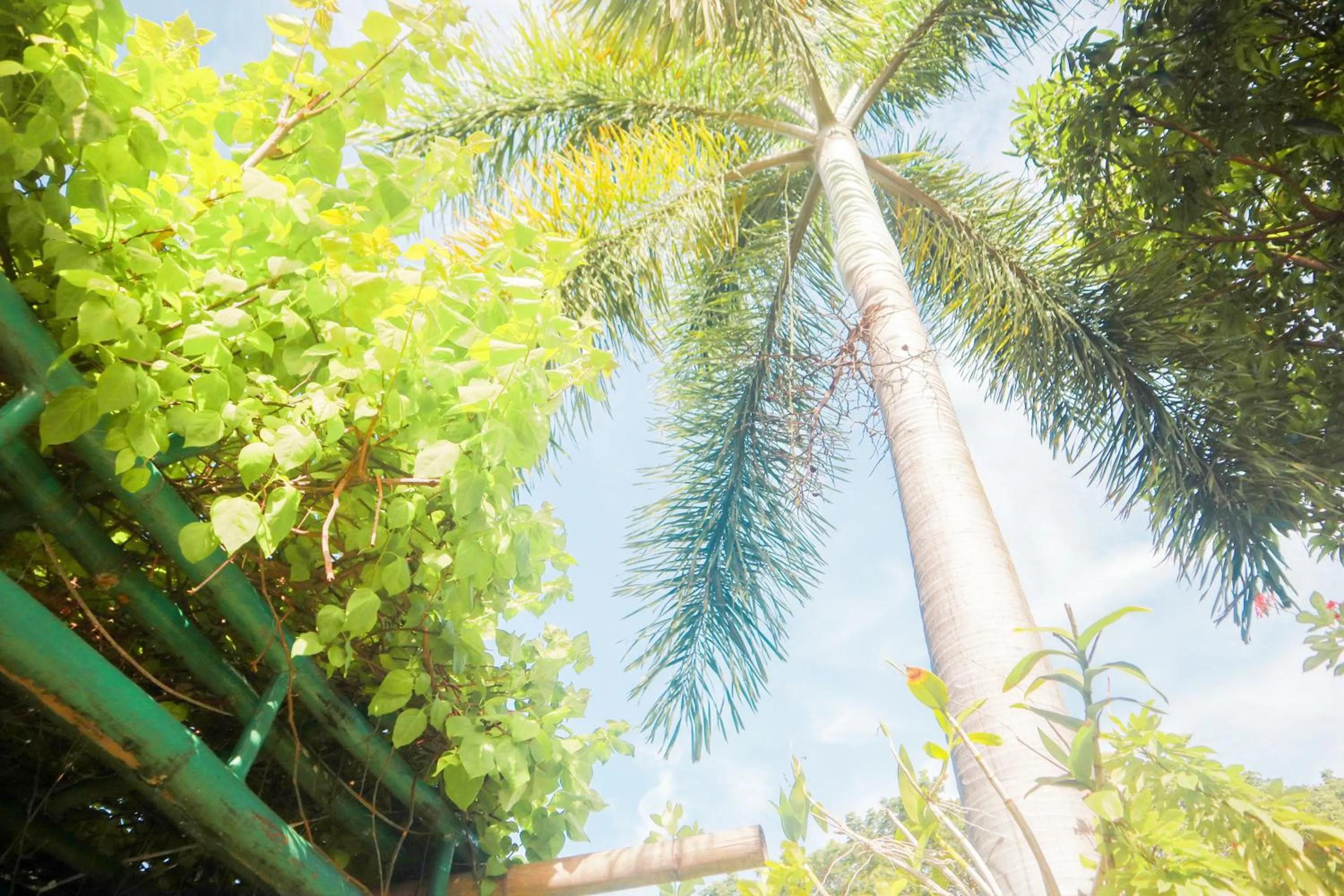 Day in Olana Bed and Breakfast