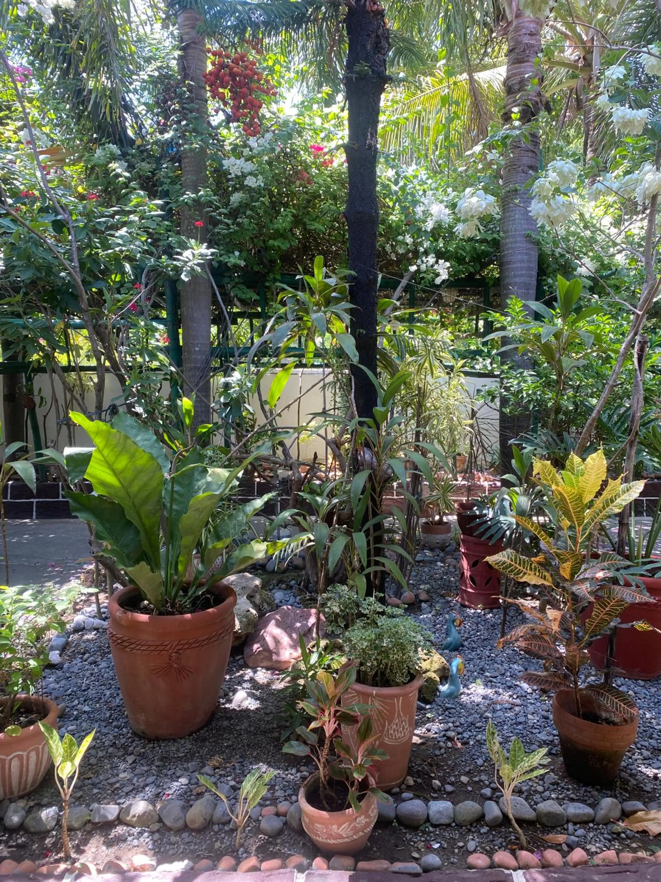 Natural landscape in Olana Bed and Breakfast