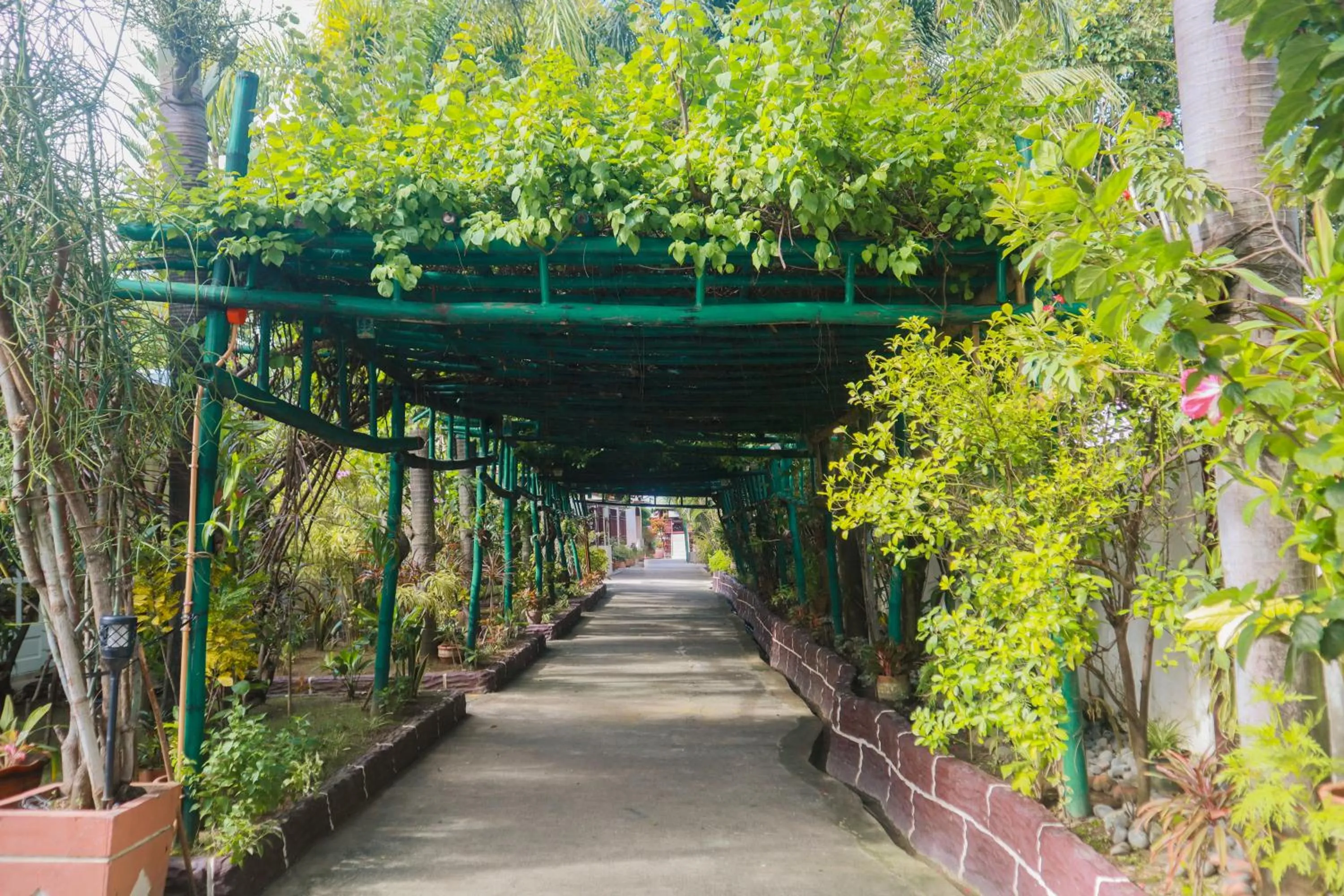 Natural landscape in Olana Bed and Breakfast