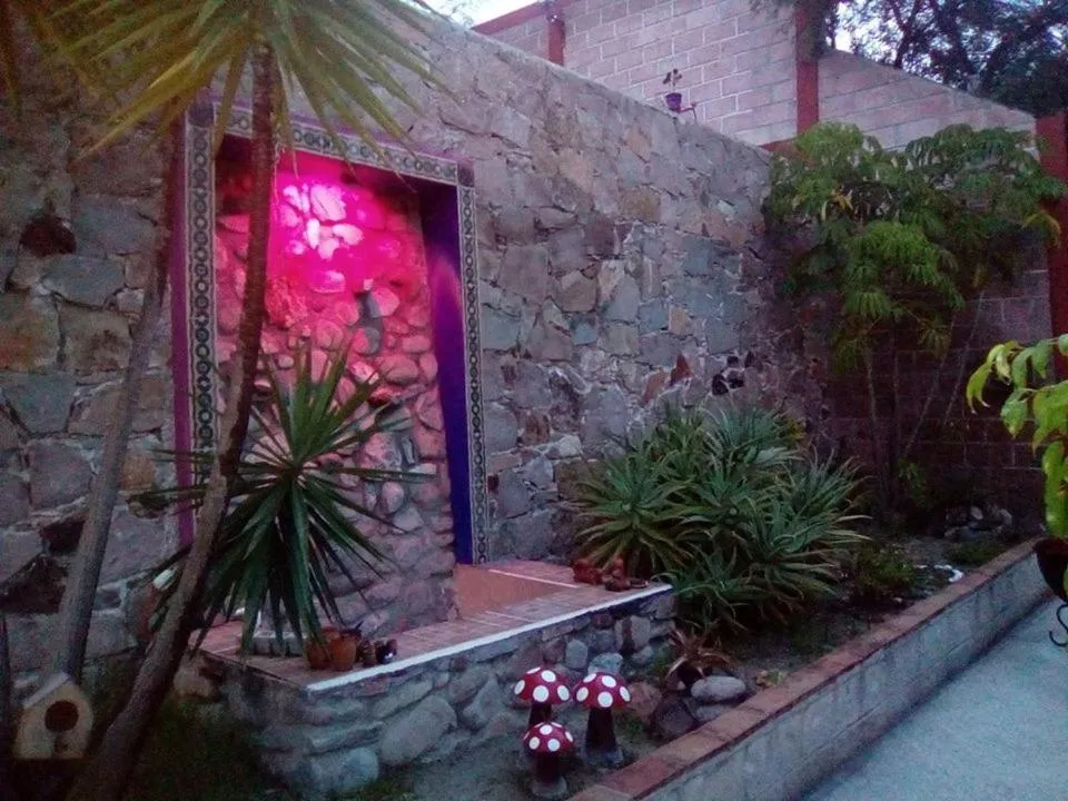 Garden view in Hotel Mirador Real