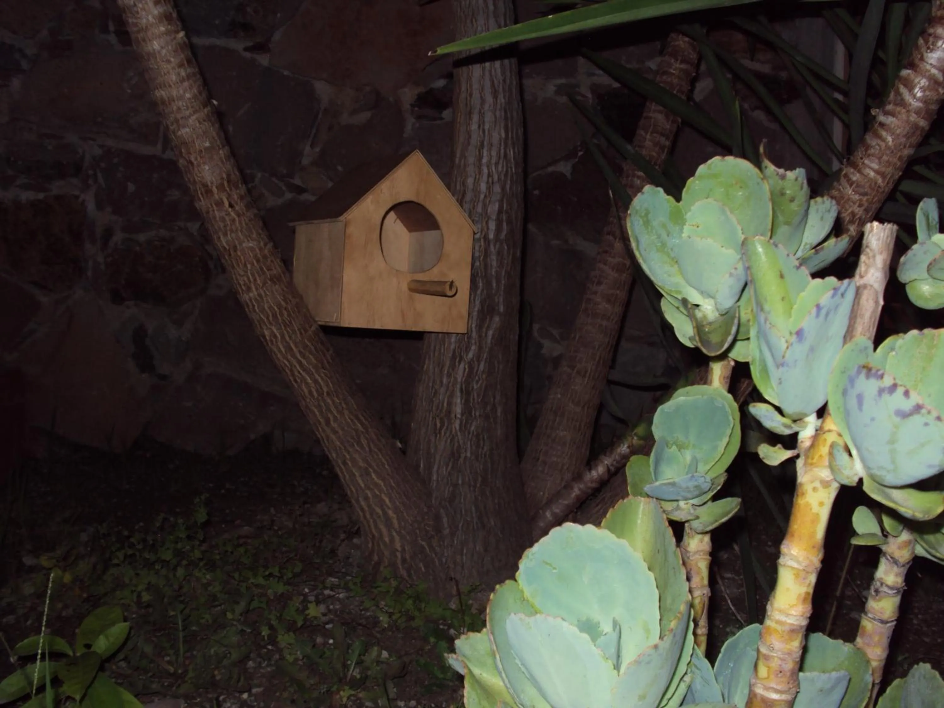 Decorative detail in Hotel Mirador Real