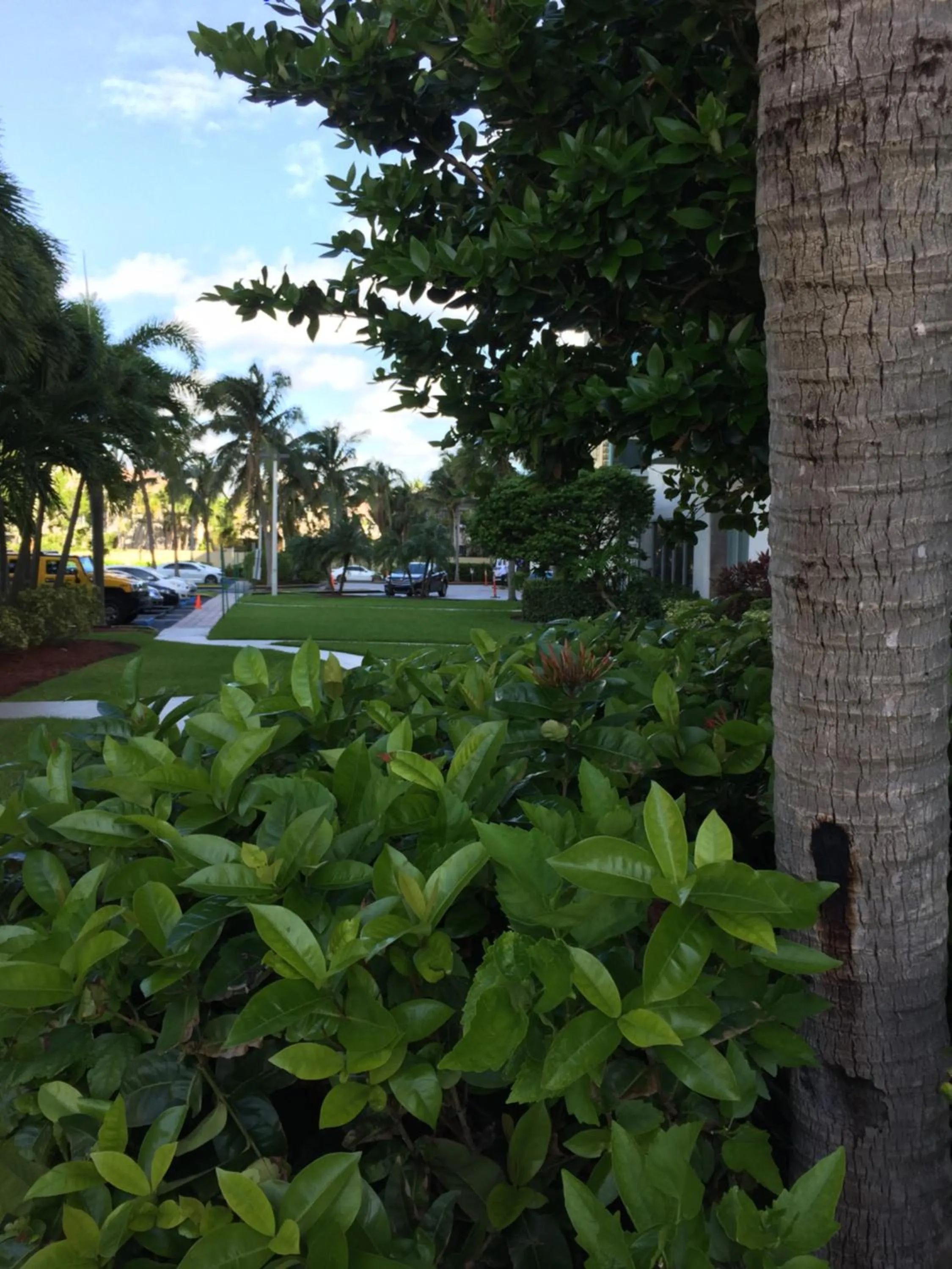 Garden in Ocean Reserve STR-01045