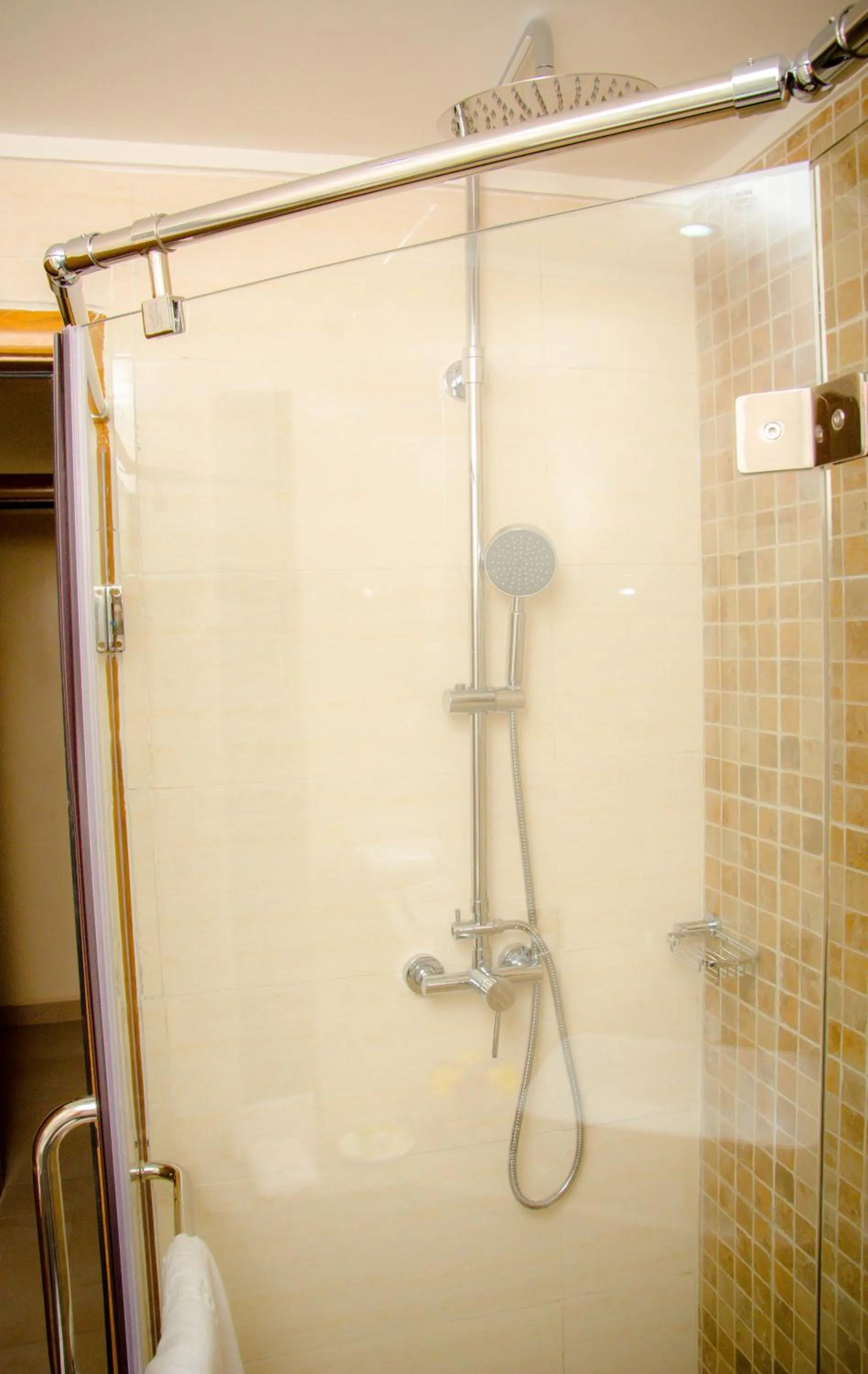 Area and facilities in Saab Royale Hotel