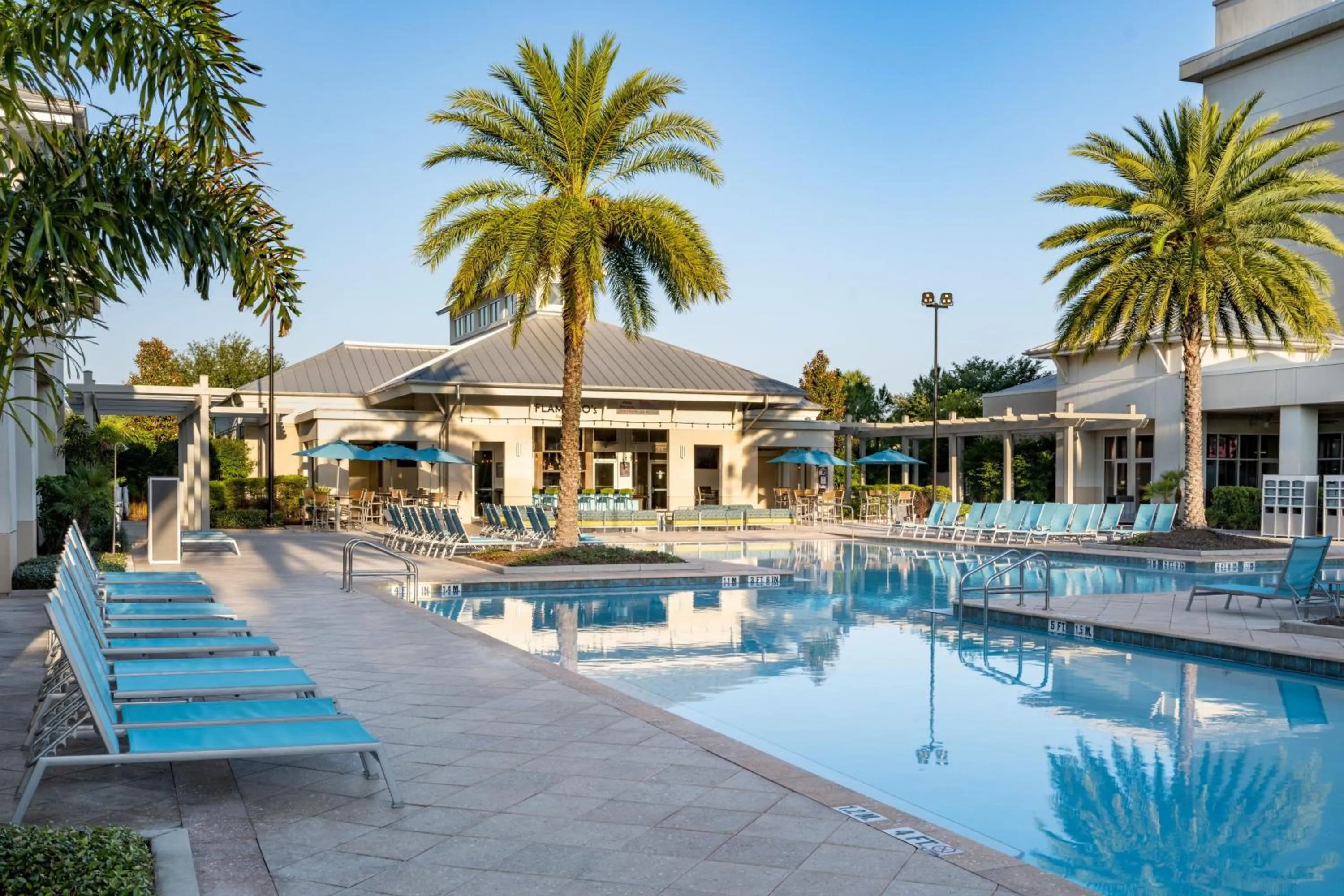 Swimming pool in SpringHill Suites by Marriott Orlando at FLAMINGO CROSSINGS Town Center-Western Entrance