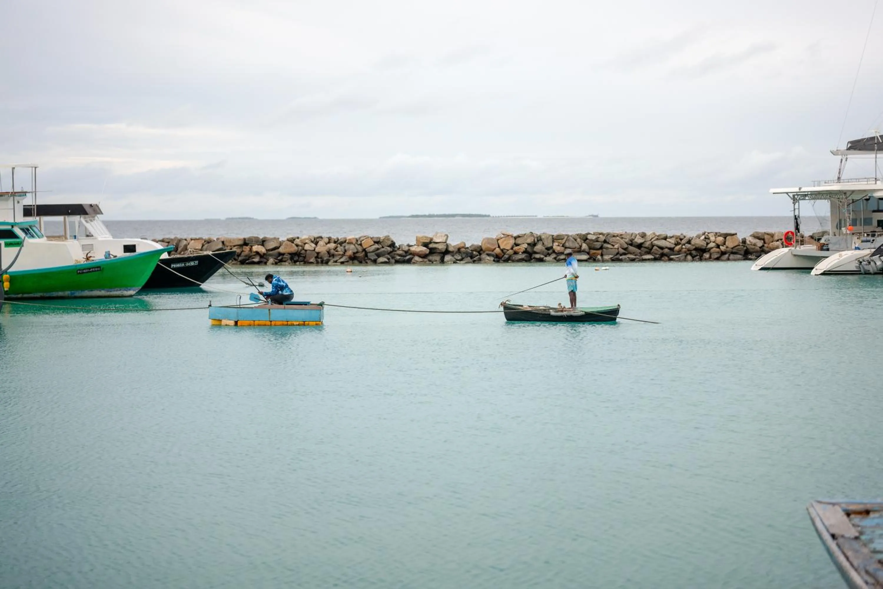 Natural landscape in Biosphere Inn