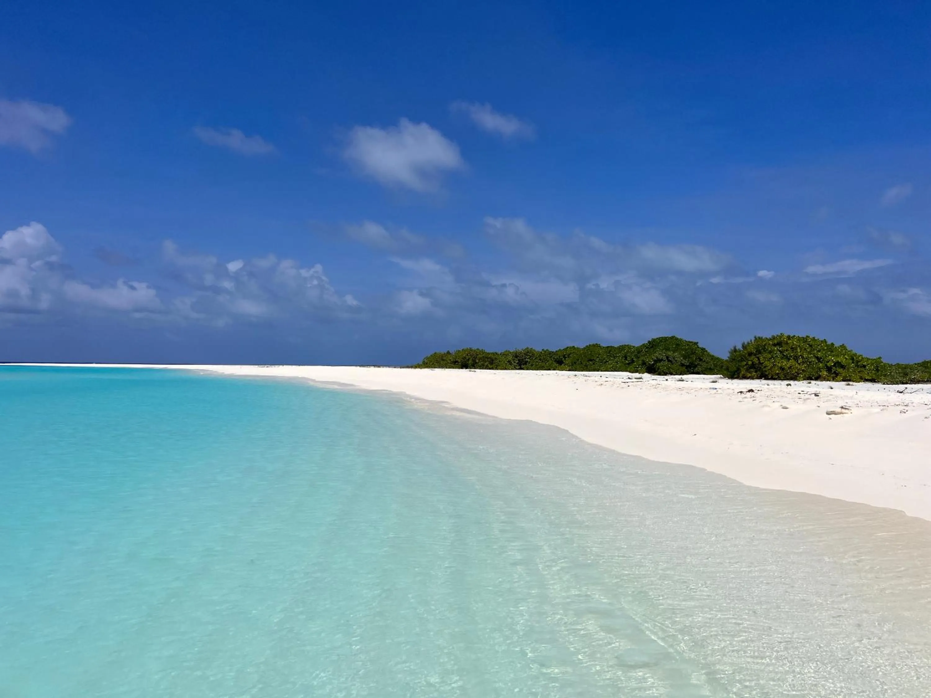 Beach in Biosphere Inn