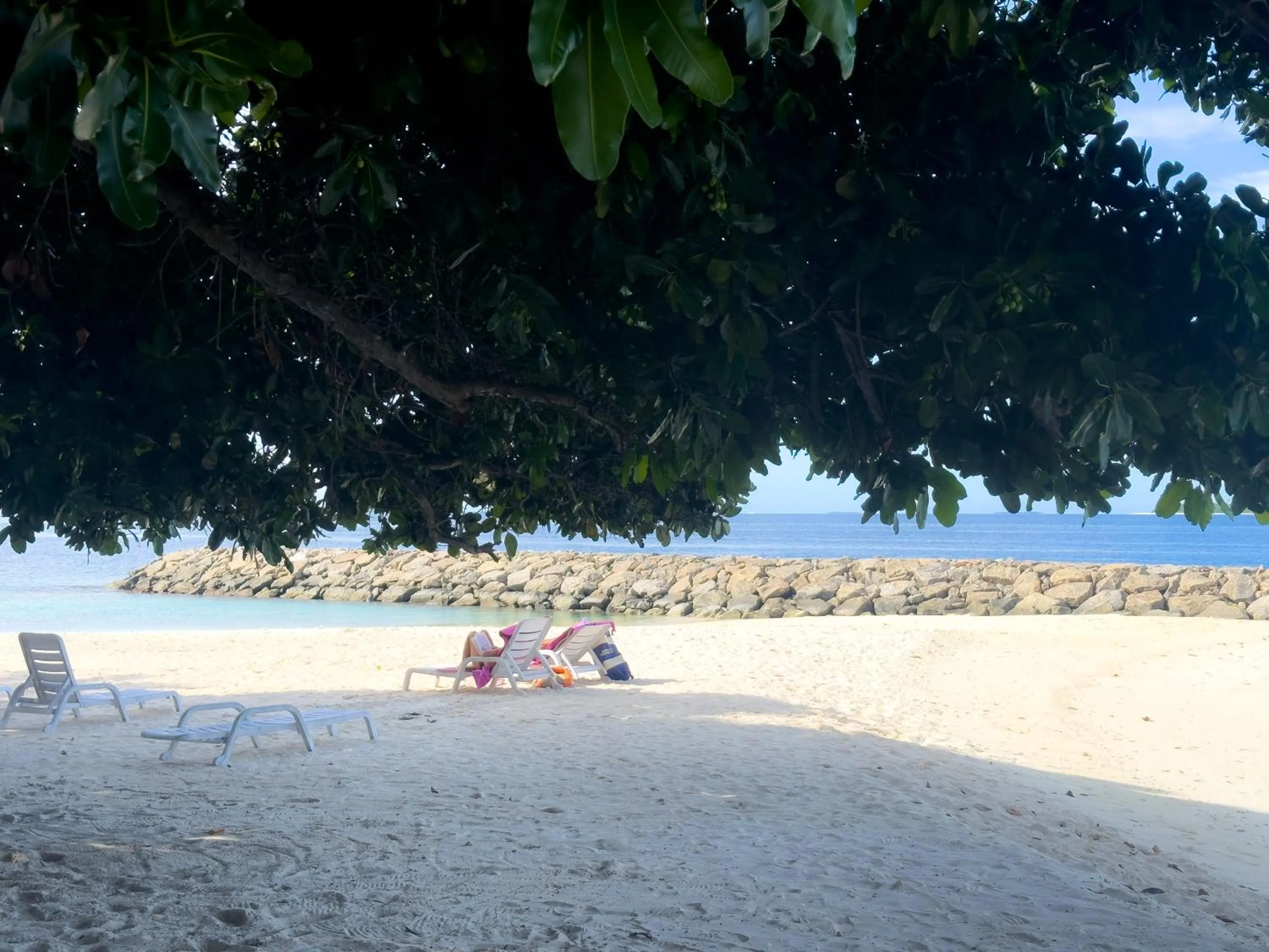 Day in Biosphere Inn