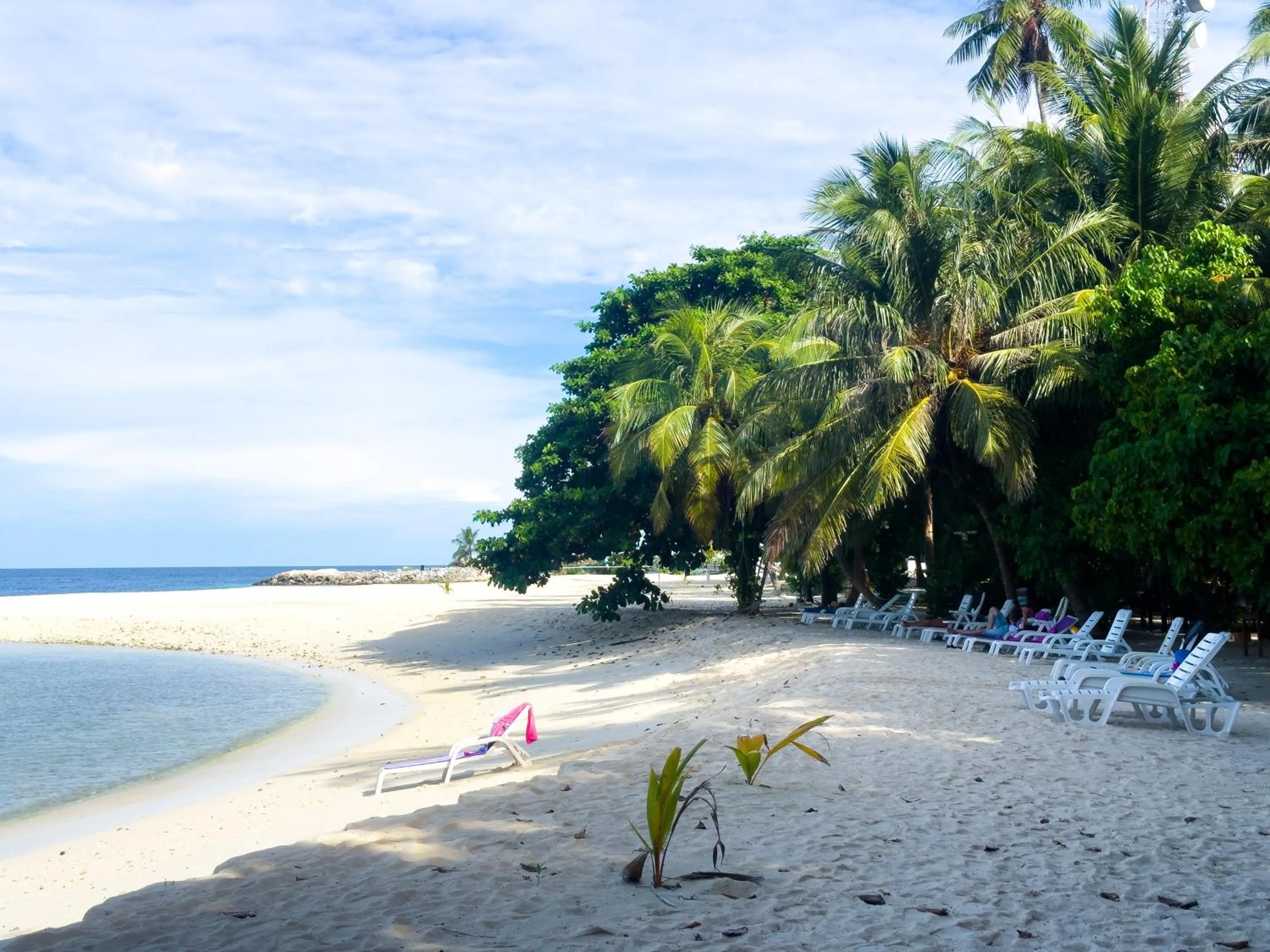 Natural landscape in Biosphere Inn