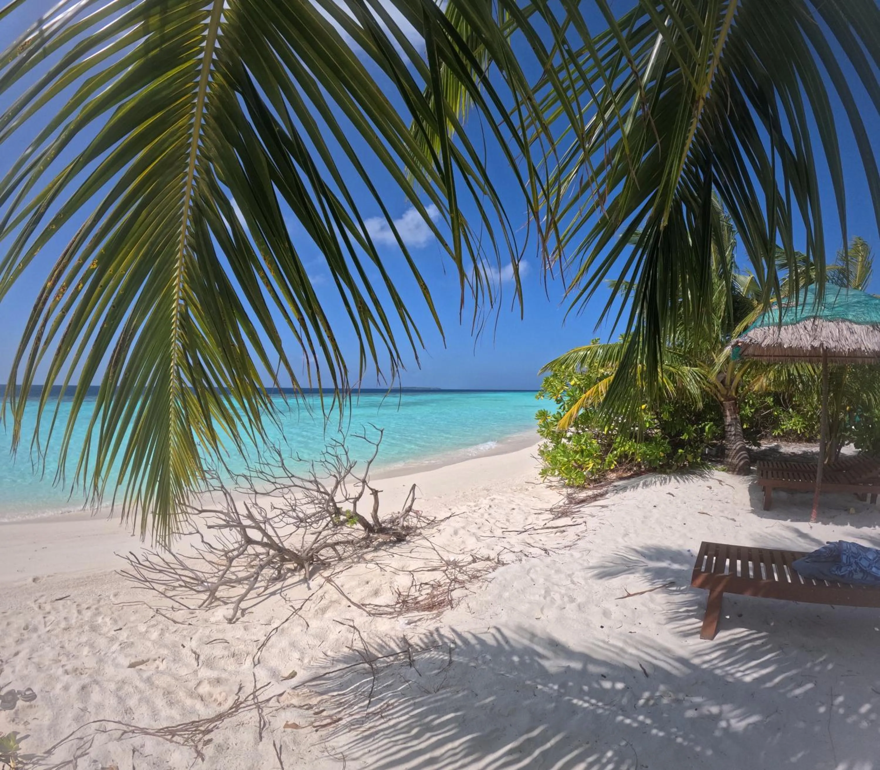 Nearby landmark in Biosphere Inn