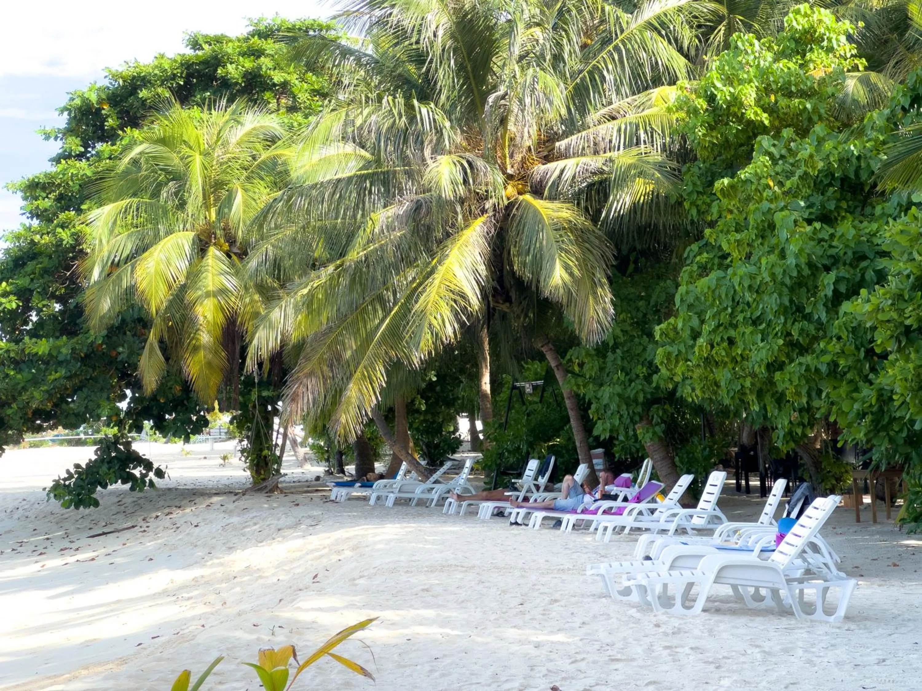 Day in Biosphere Inn