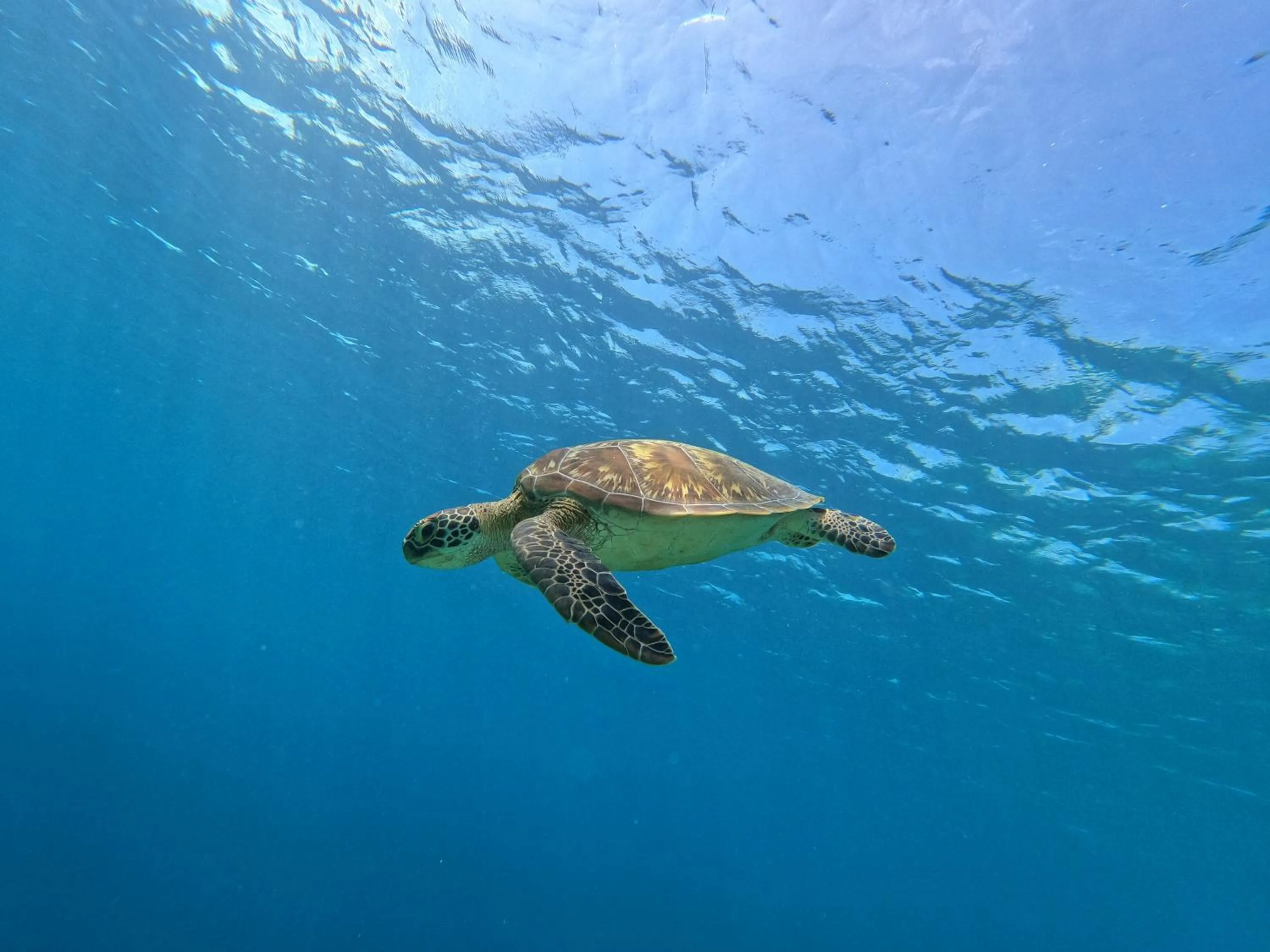 Natural landscape in Biosphere Inn