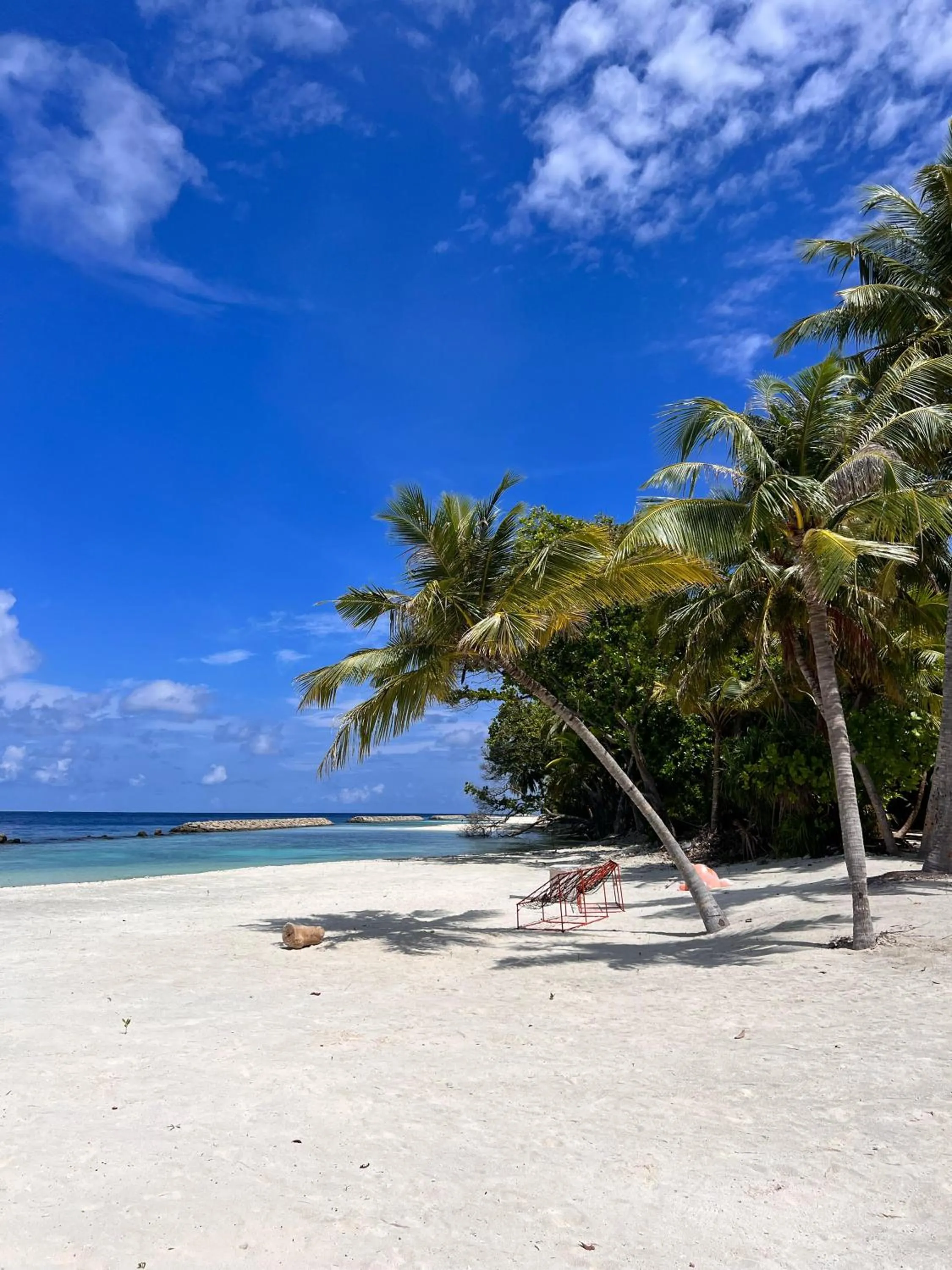 Beach in Biosphere Inn