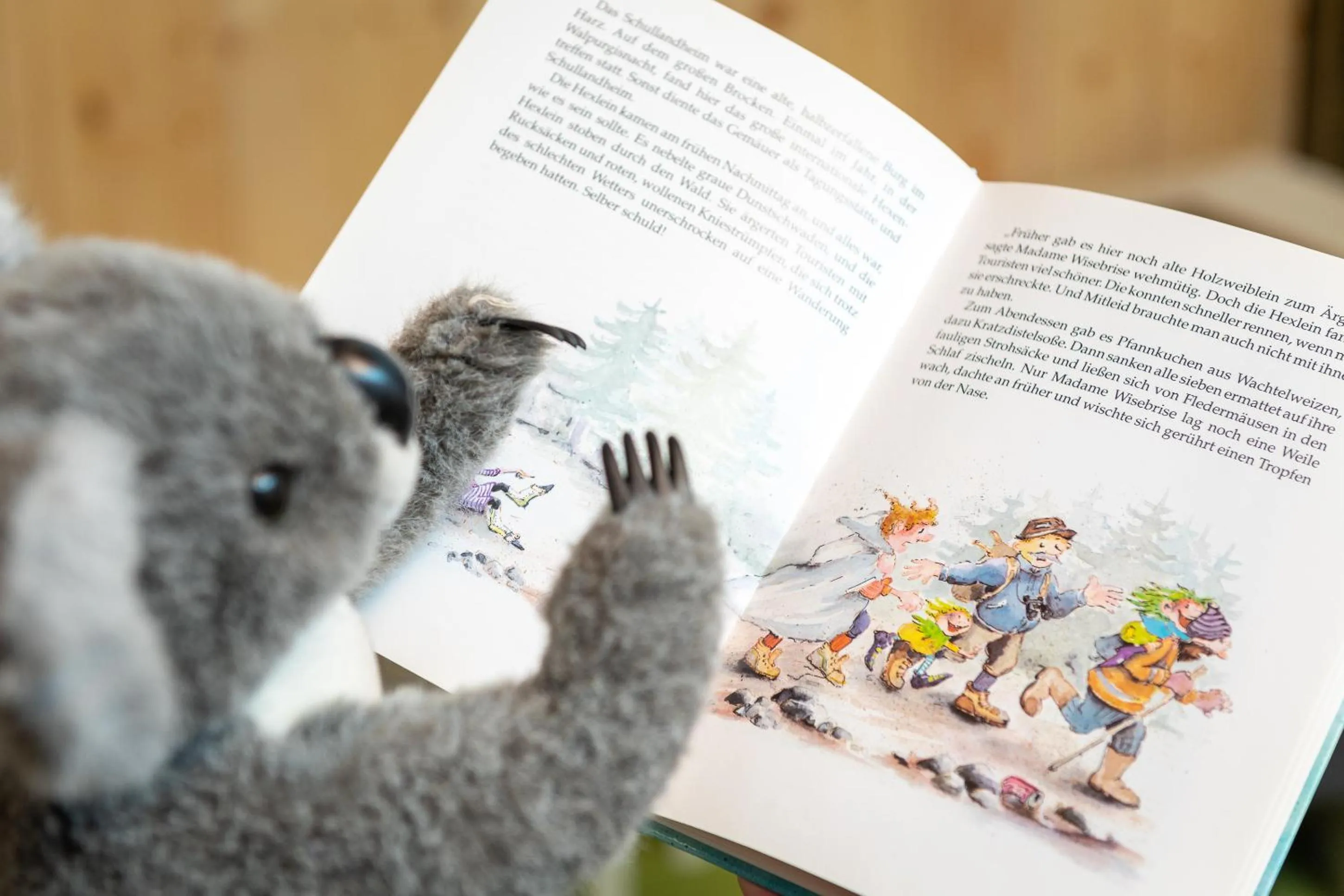 Game Room in Randolins Familienresort