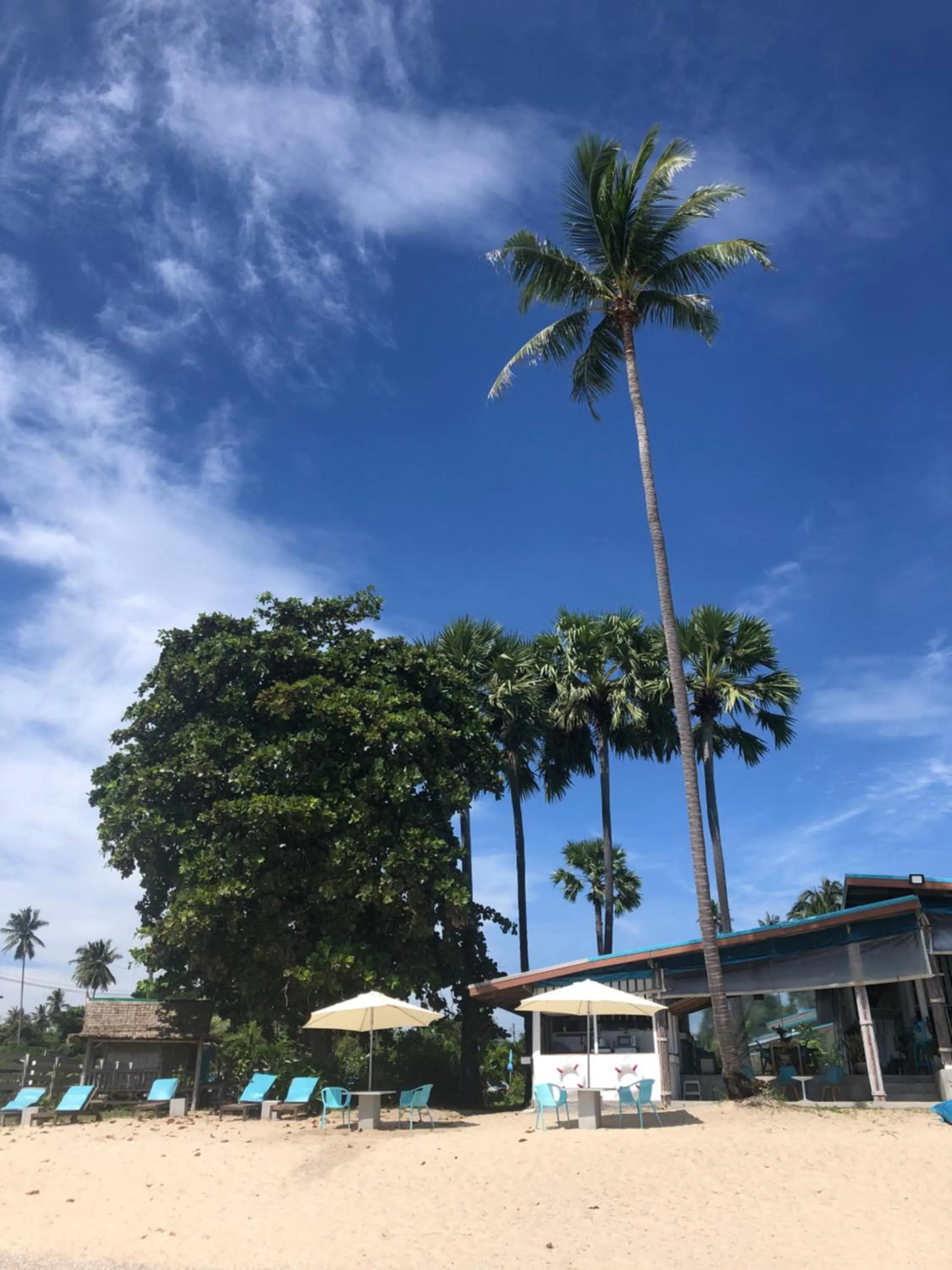 Beach in Le Petit Saint Tropez