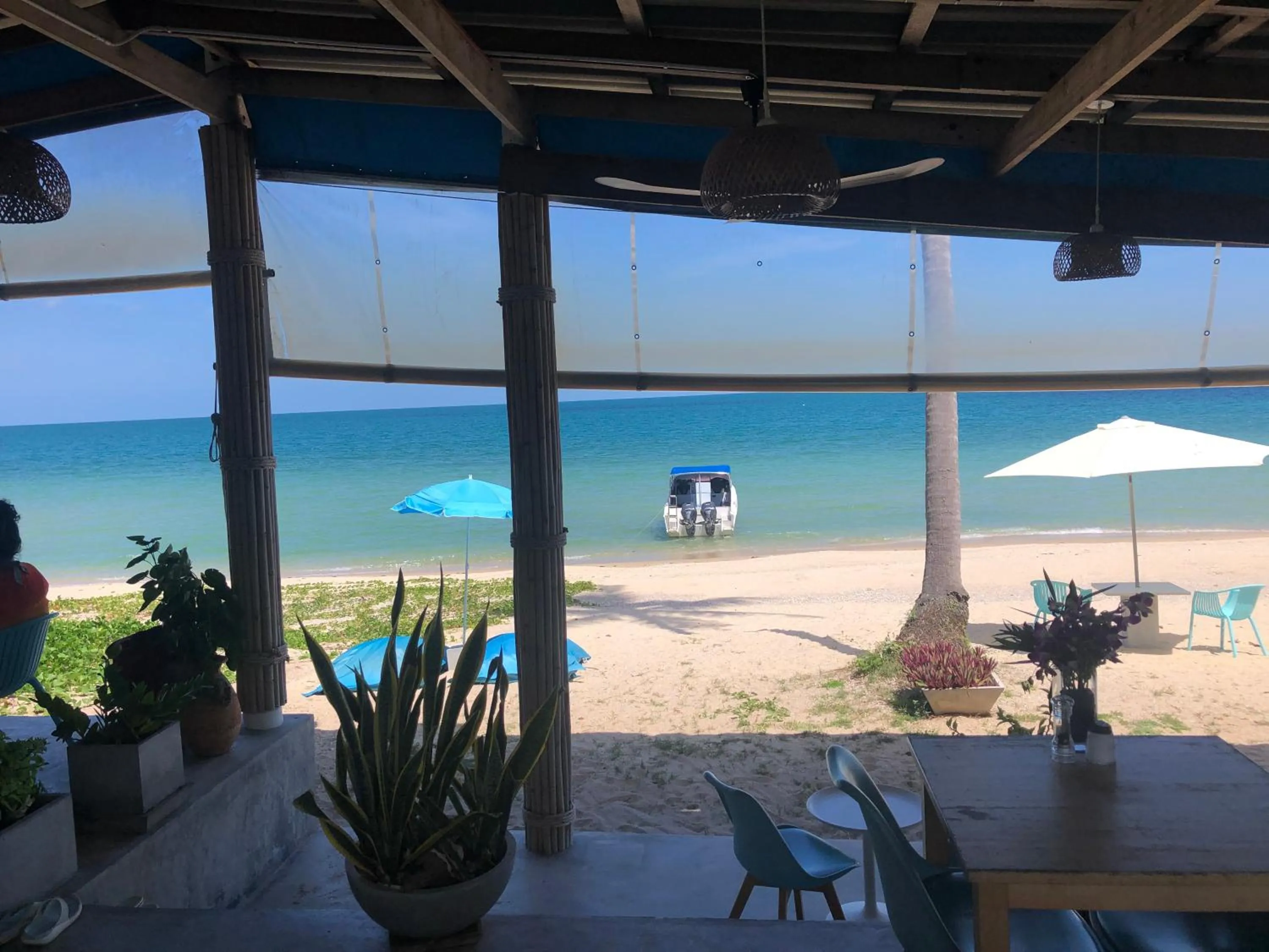 Restaurant/places to eat in Le Petit Saint Tropez