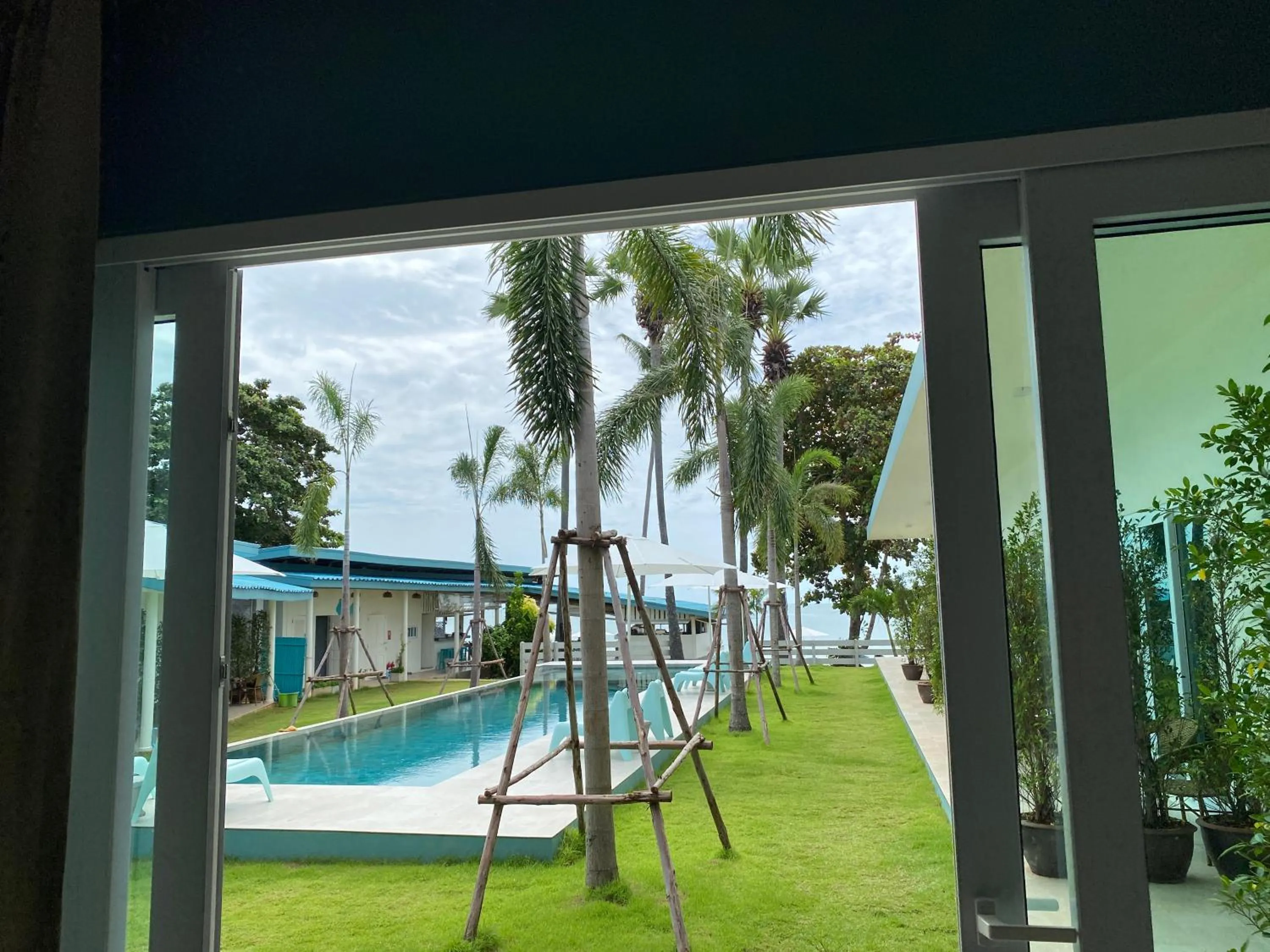 Garden view in Le Petit Saint Tropez