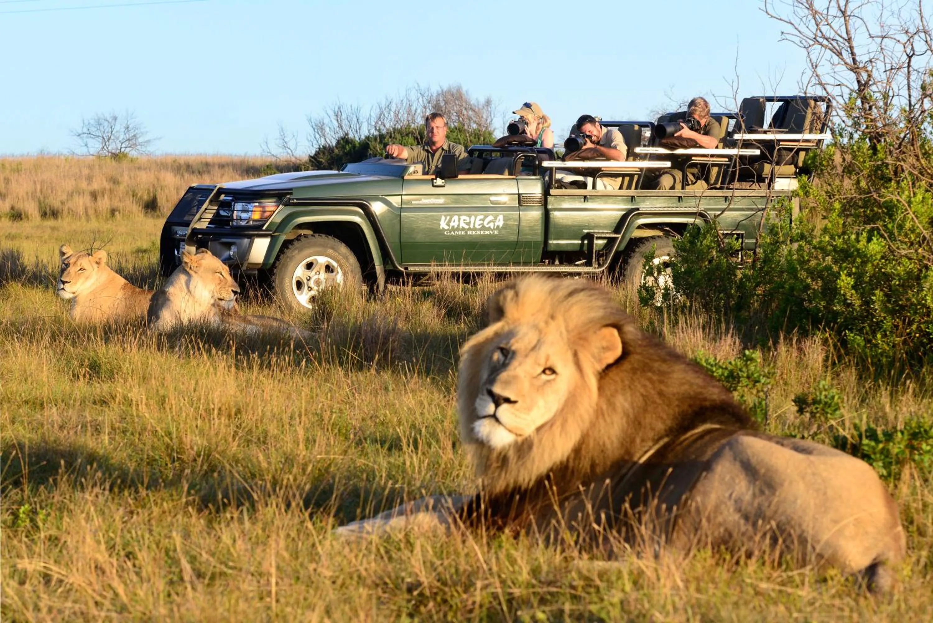 Activities in Kariega Game Reserve Main Lodge