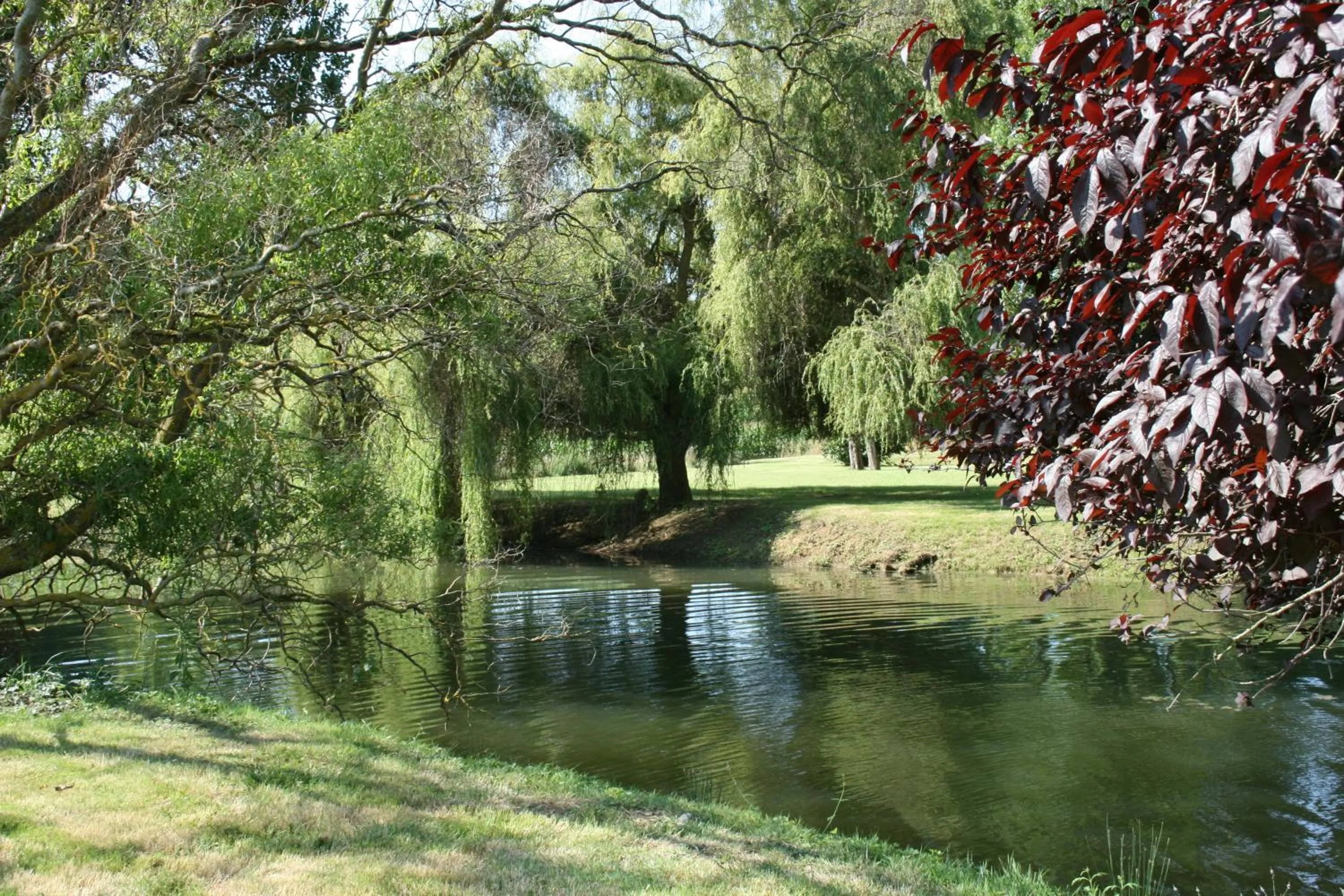 Garden in Le Farat Bed & Breakfast
