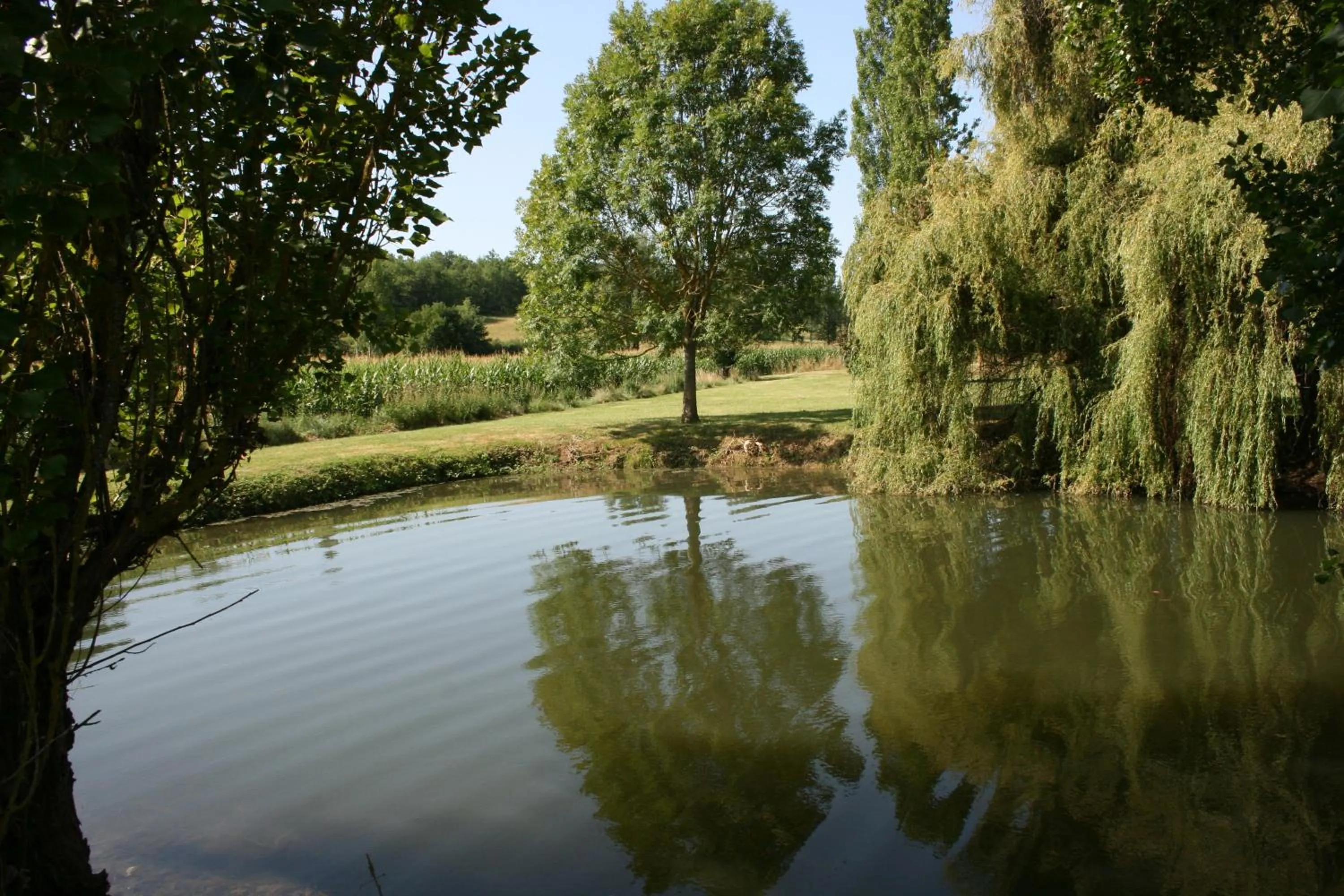 Garden view in Le Farat Bed & Breakfast