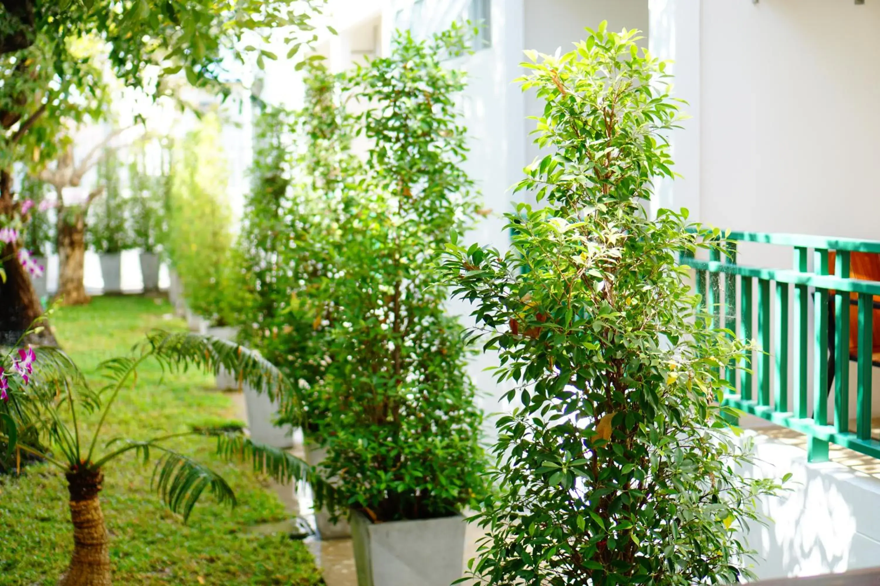 Standard Double Room with Balcony in NP Hotel Standard Double Room with Balcony in NP Hotel