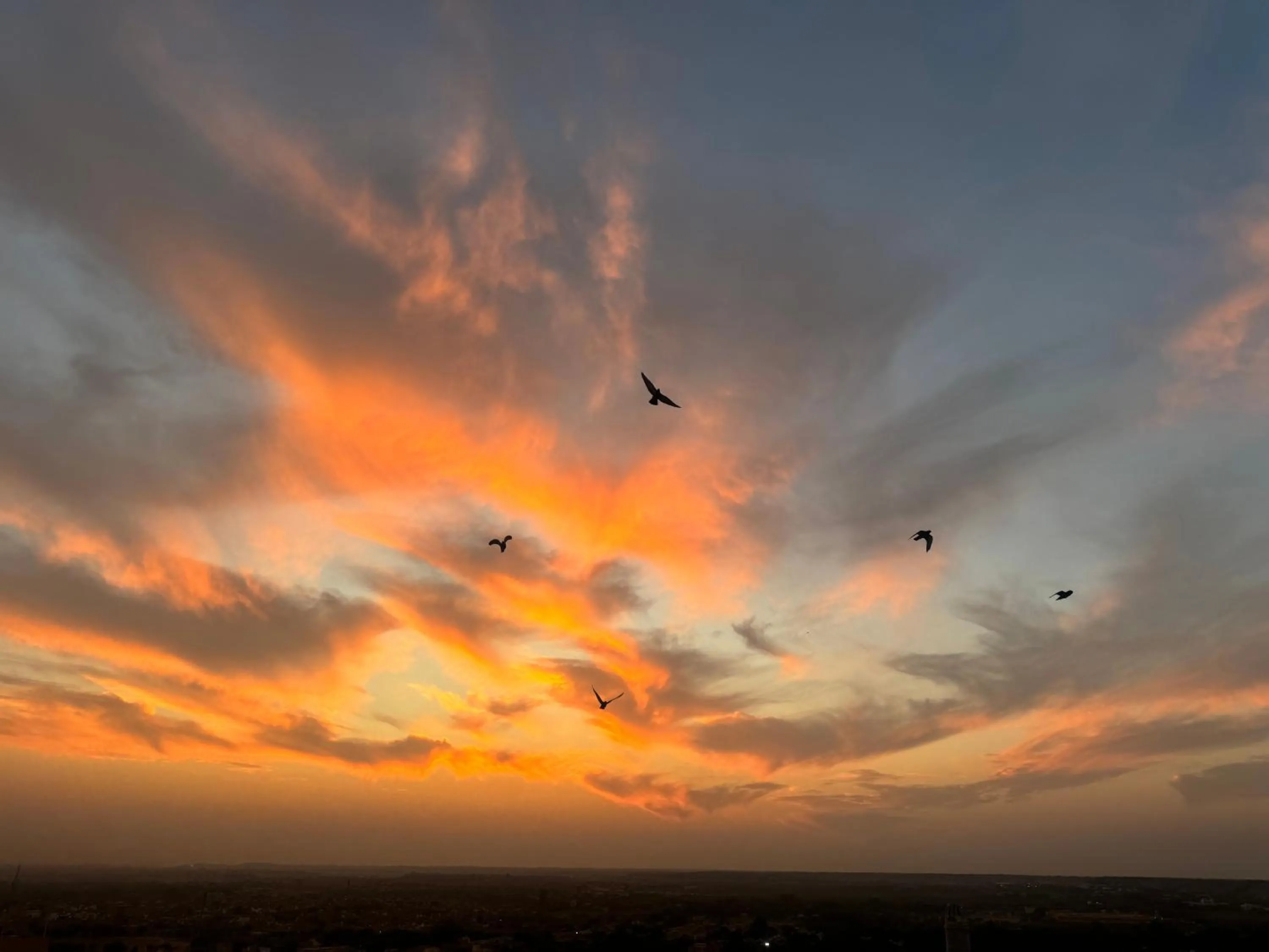 Natural landscape in Hotel Himmat Niwas