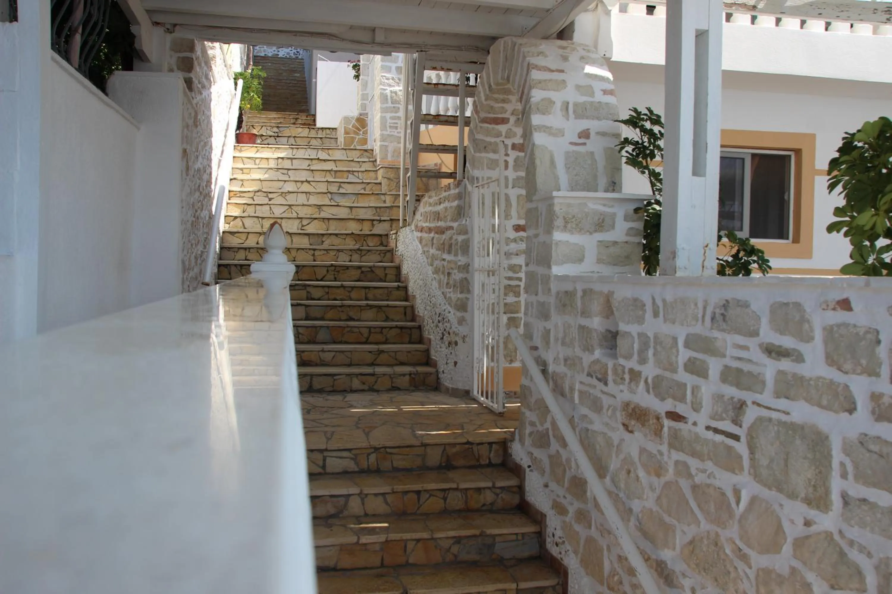 Floor plan in Qeparo Napolon Complex