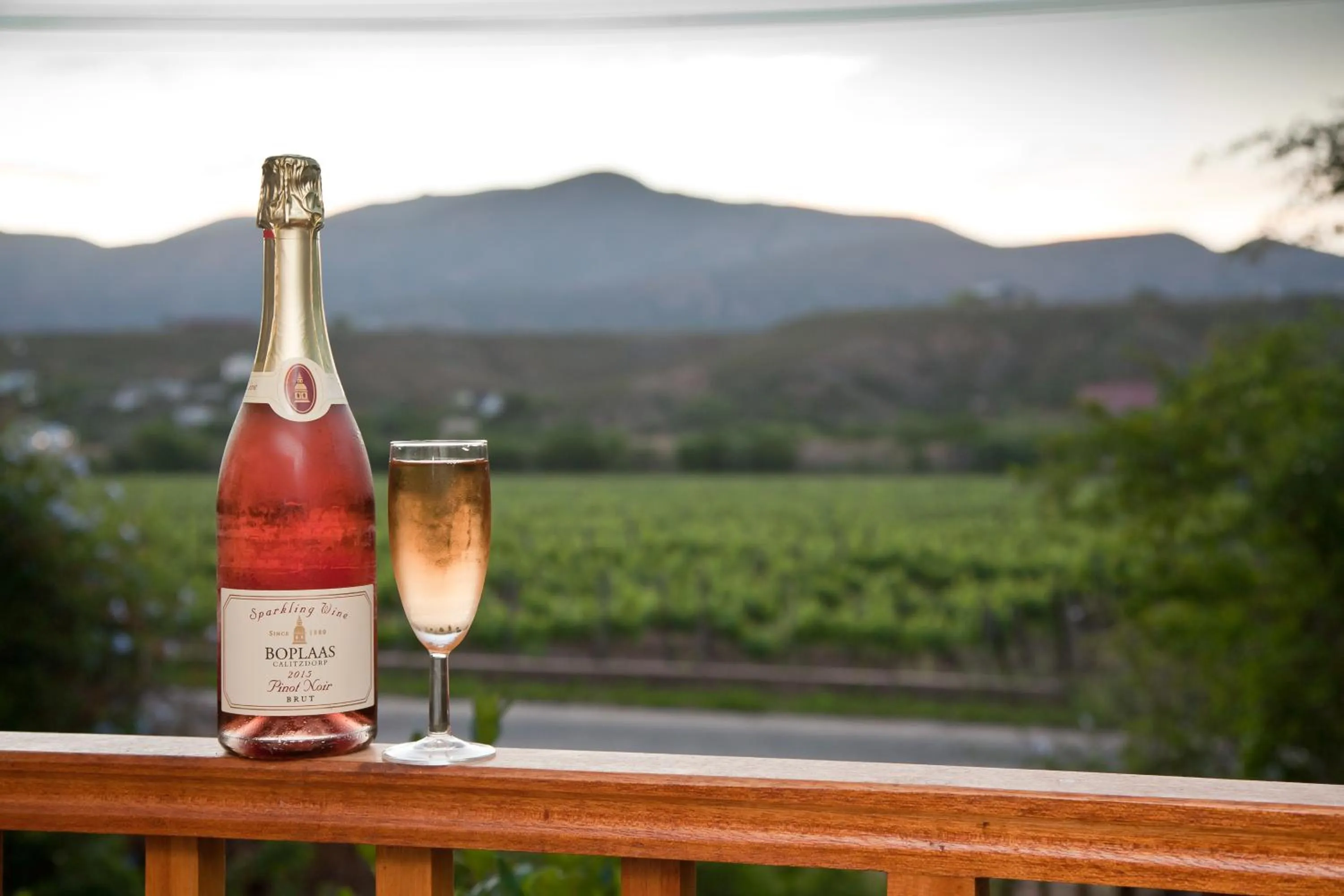 Landmark view in The Queen Of Calitzdorp