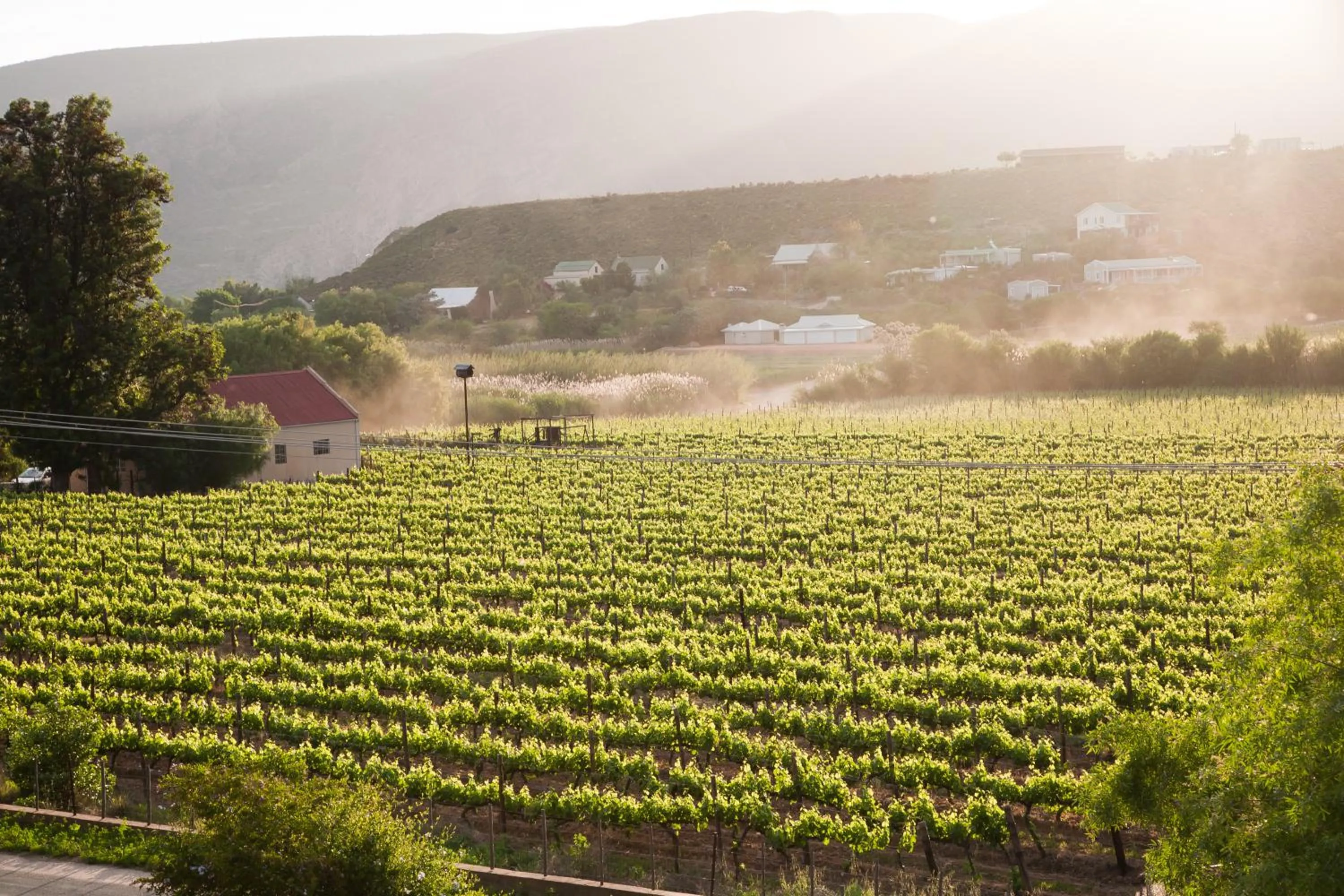 Nearby landmark in The Queen Of Calitzdorp