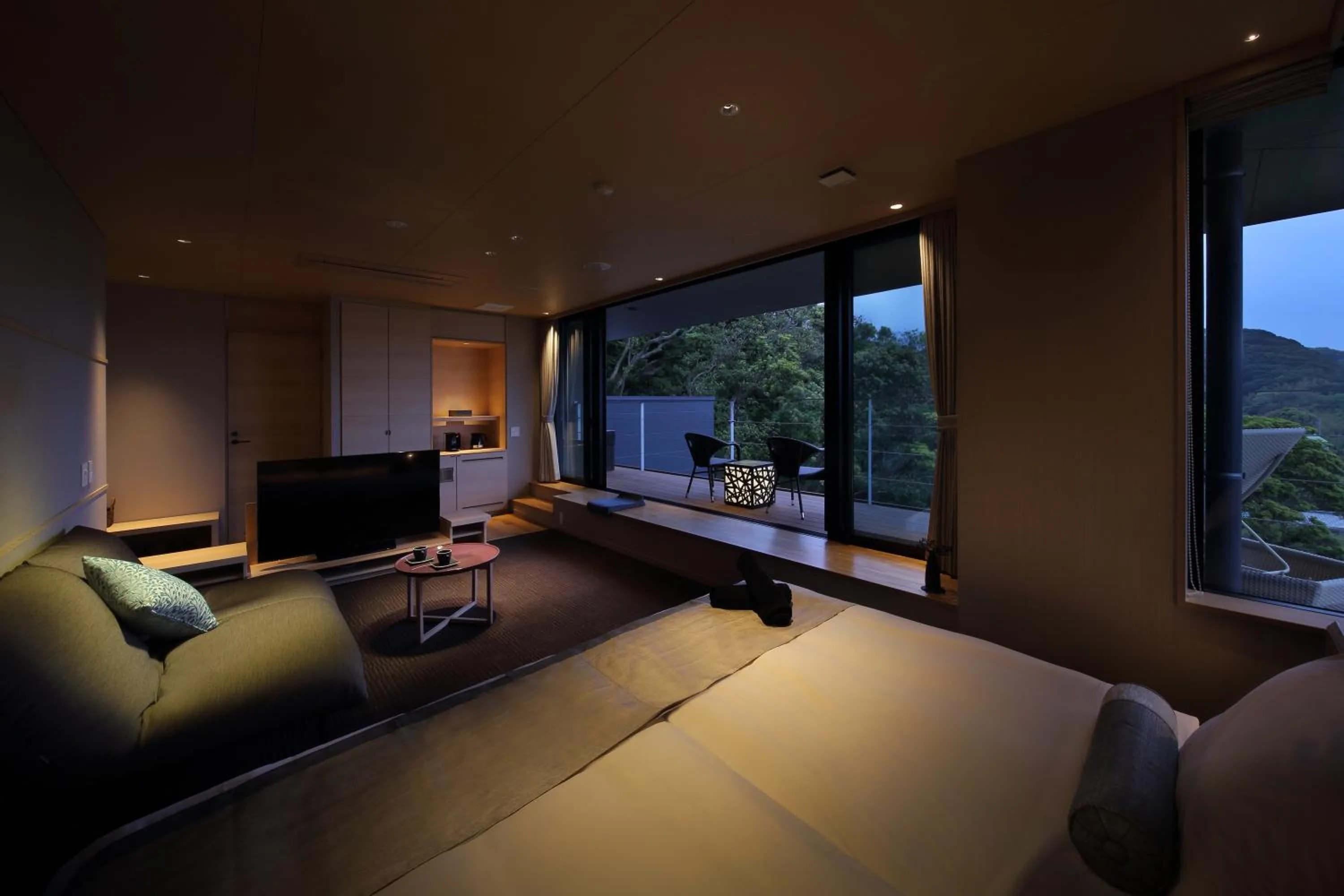 View (from property/room) in The Shinra