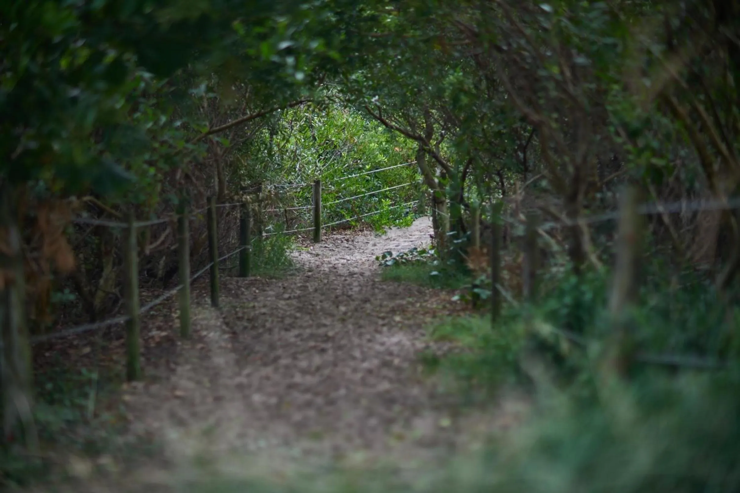 Beach in Ingenia Holidays Byron Bay