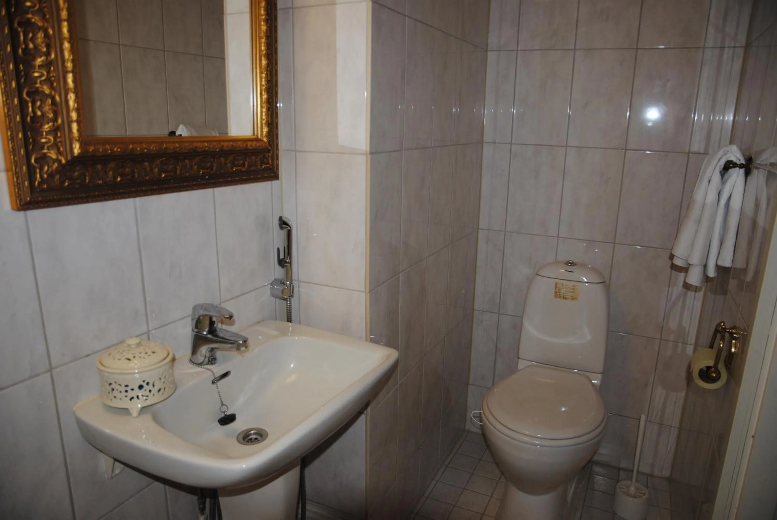 Toilet in Hotel Villa Antonius