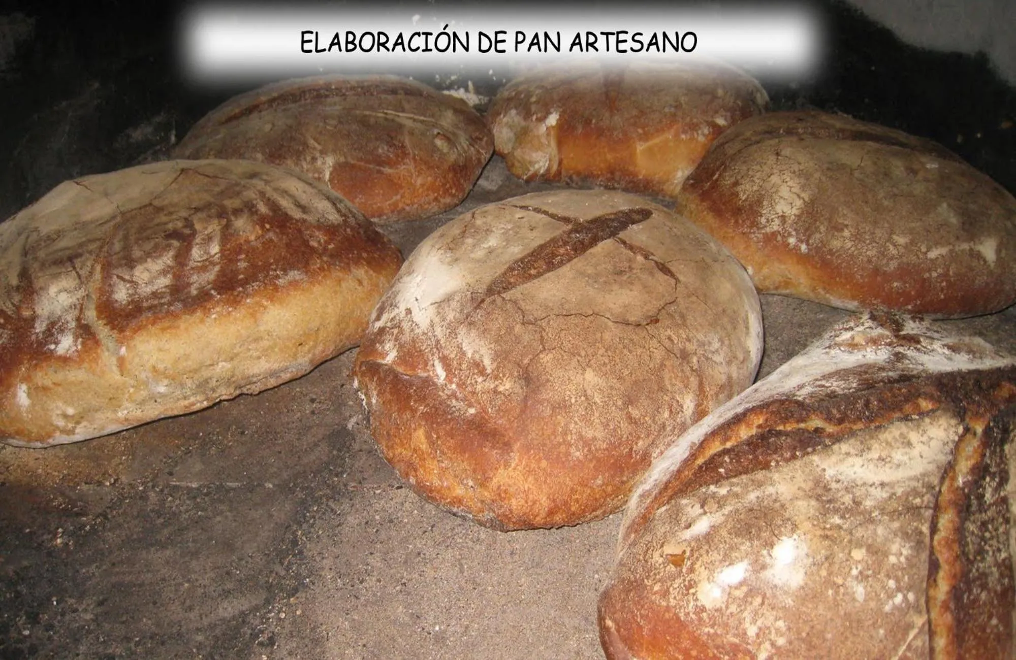 Activities in Albergue Areitz Soroa