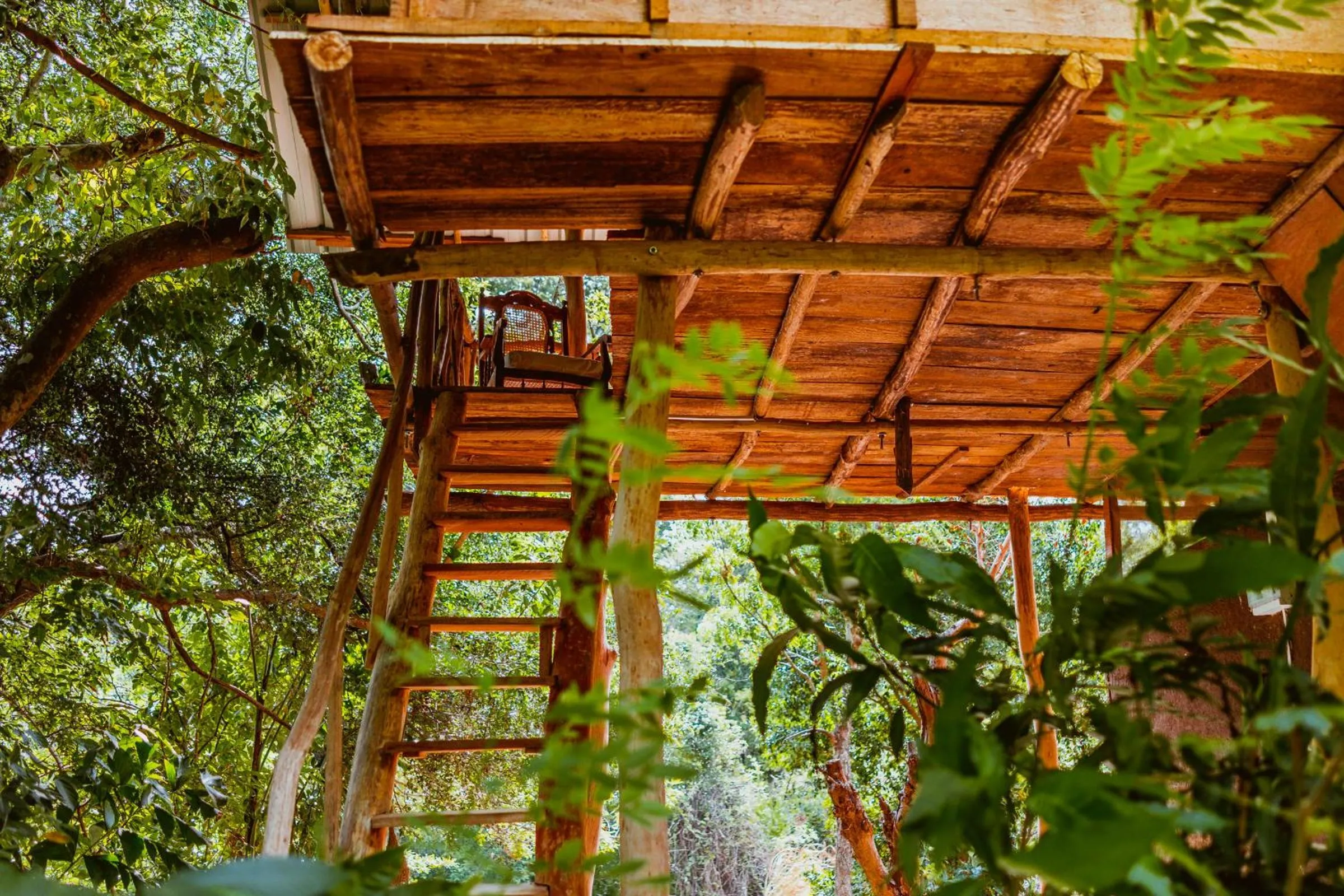 View (from property/room) in Sigiriya River Side Villa