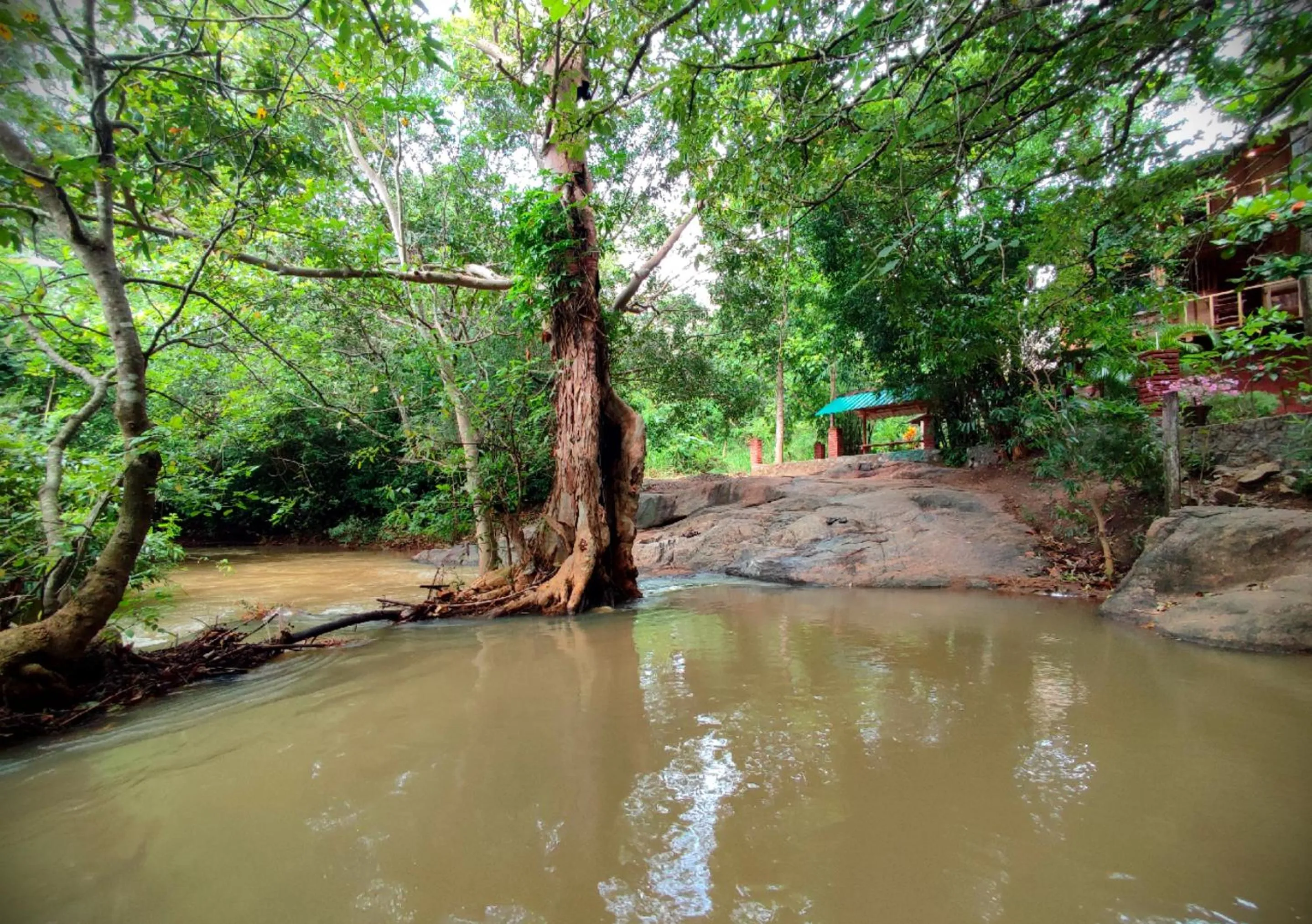 Nearby landmark in Sigiriya River Side Villa