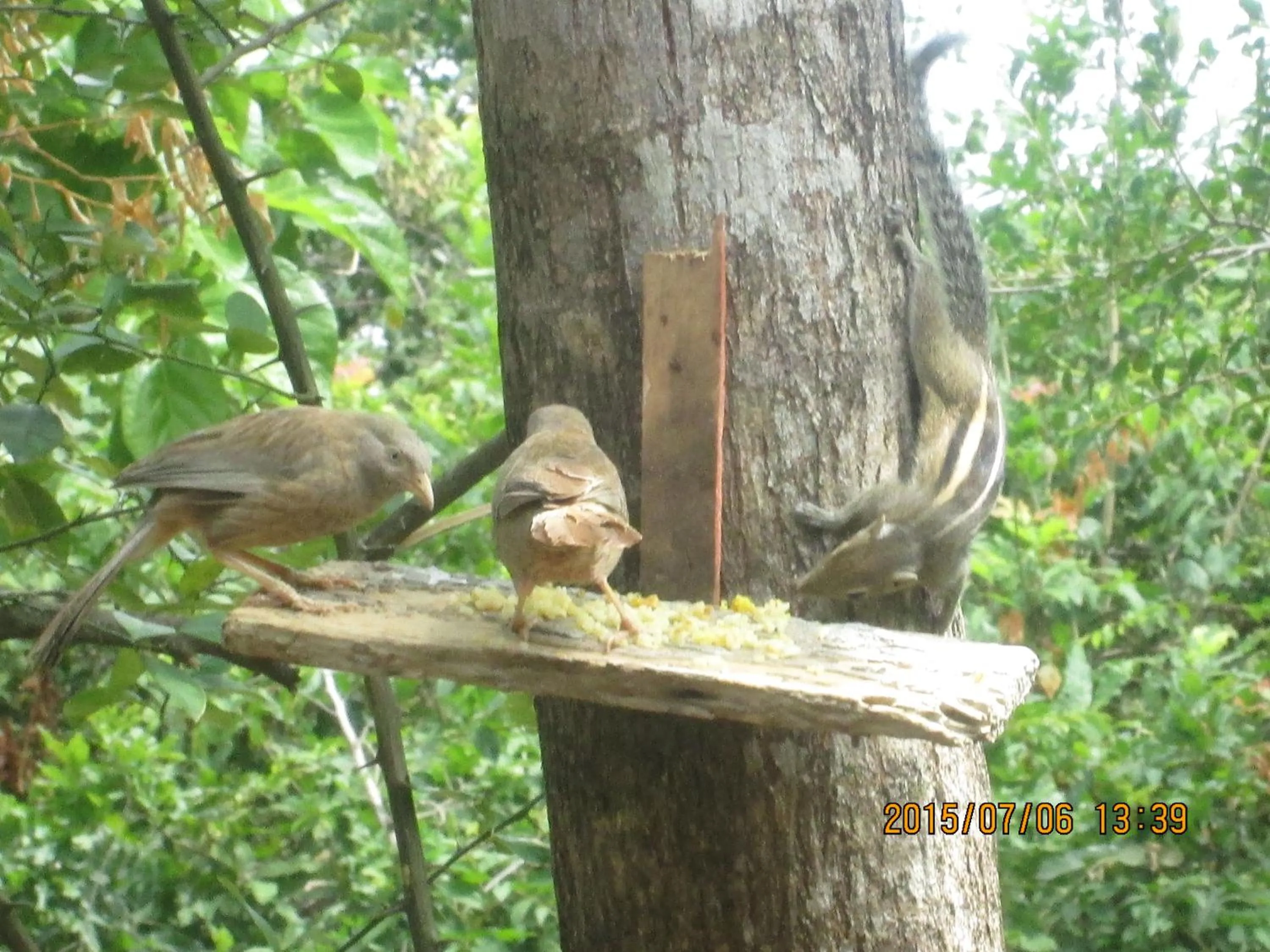 Day in Sigiriya River Side Villa