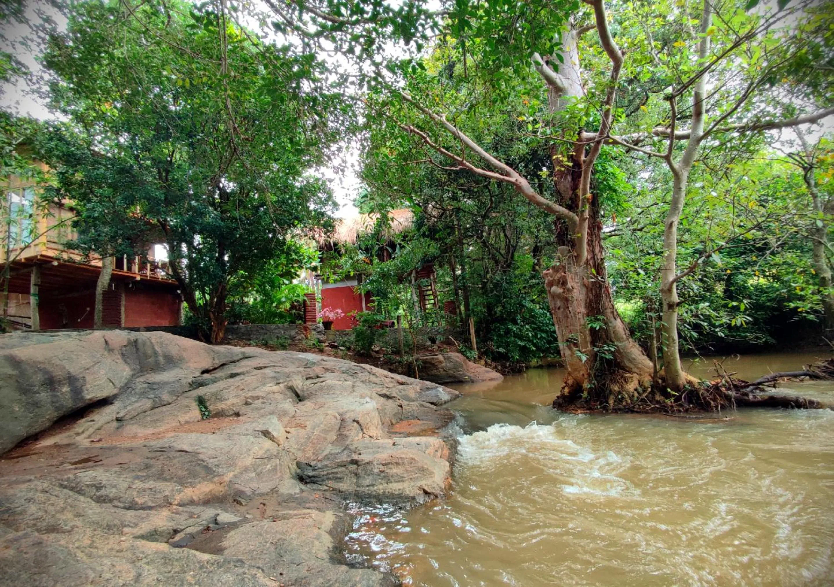 Nearby landmark in Sigiriya River Side Villa