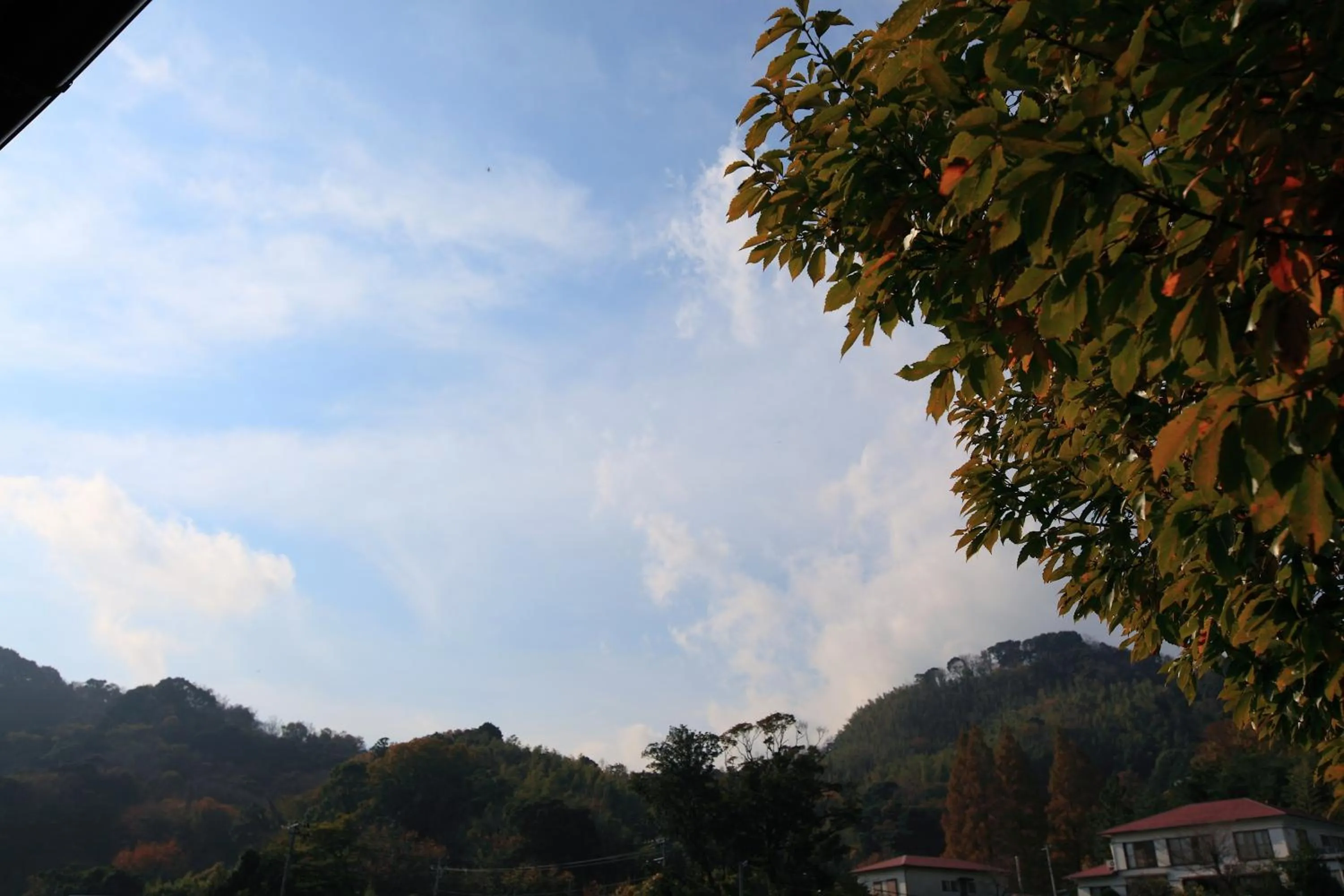 Mountain view in Kokoronodoka