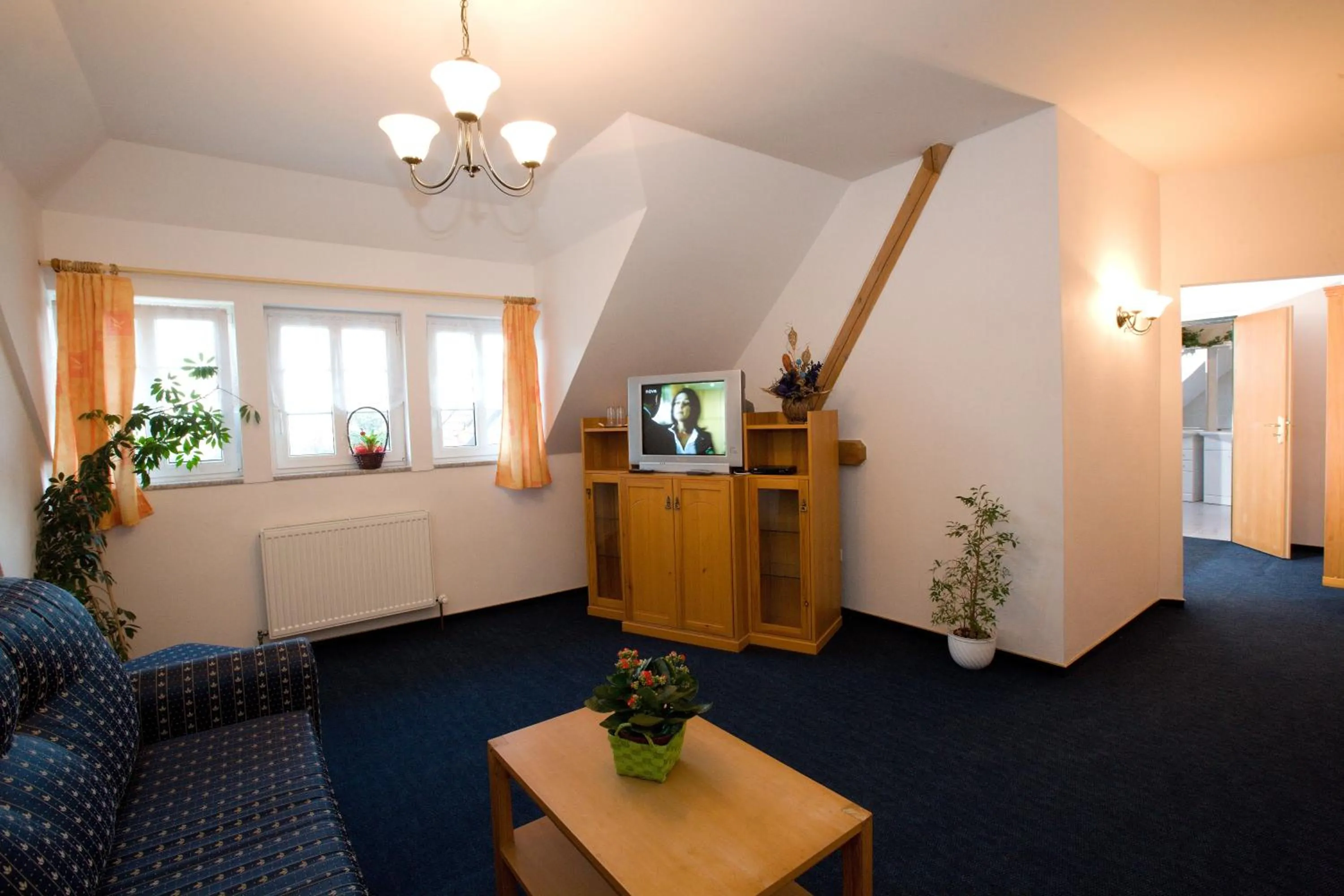 TV and multimedia in Hotel Atawa