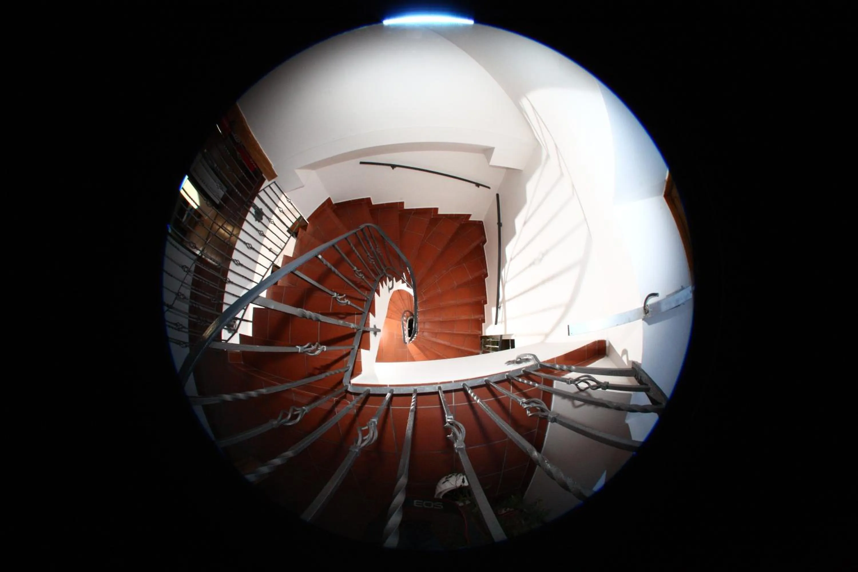 Area and facilities in Hotel Atawa