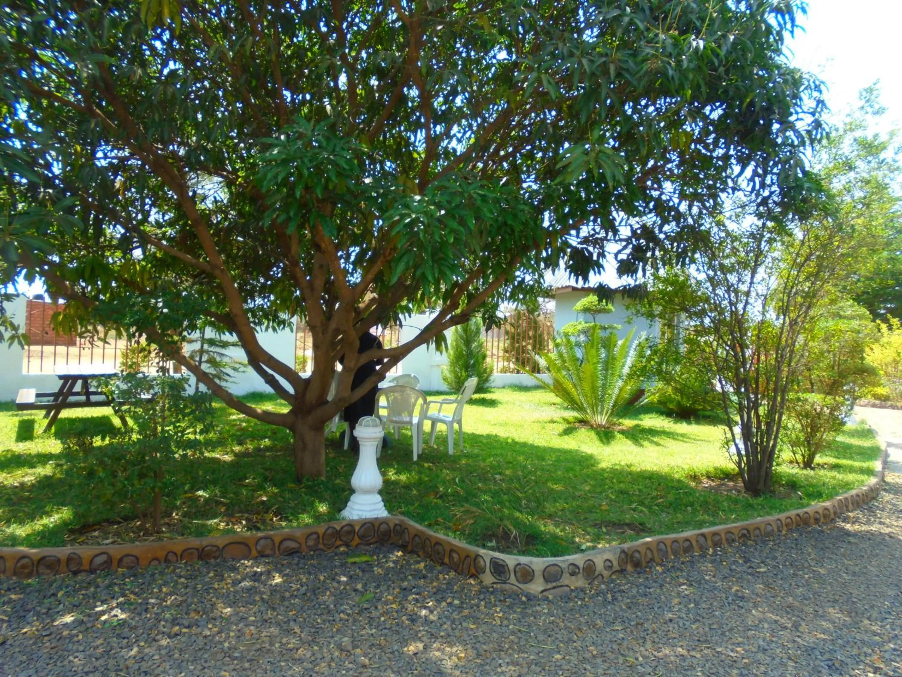 Garden in White Rose Lodge