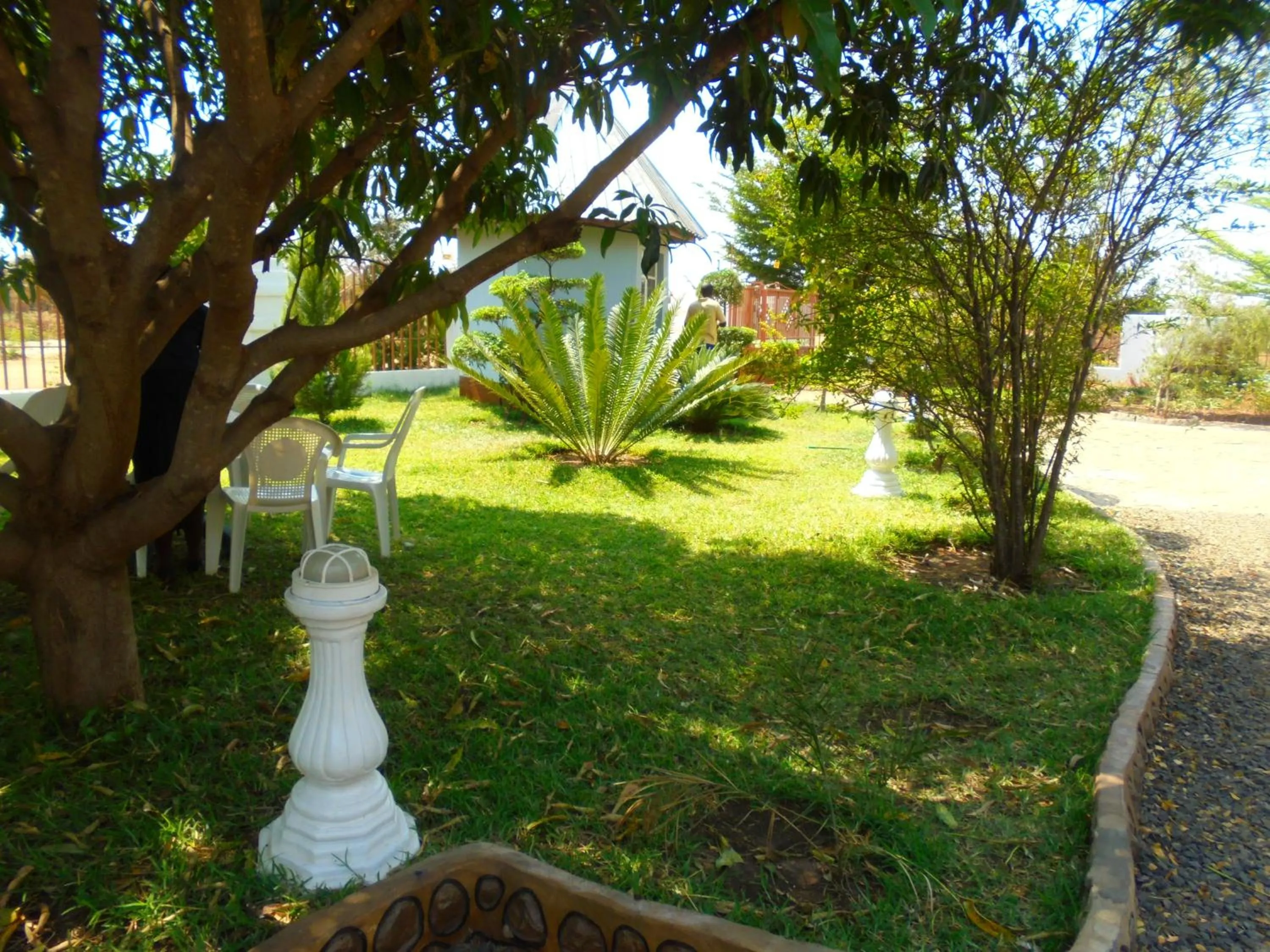 Garden in White Rose Lodge